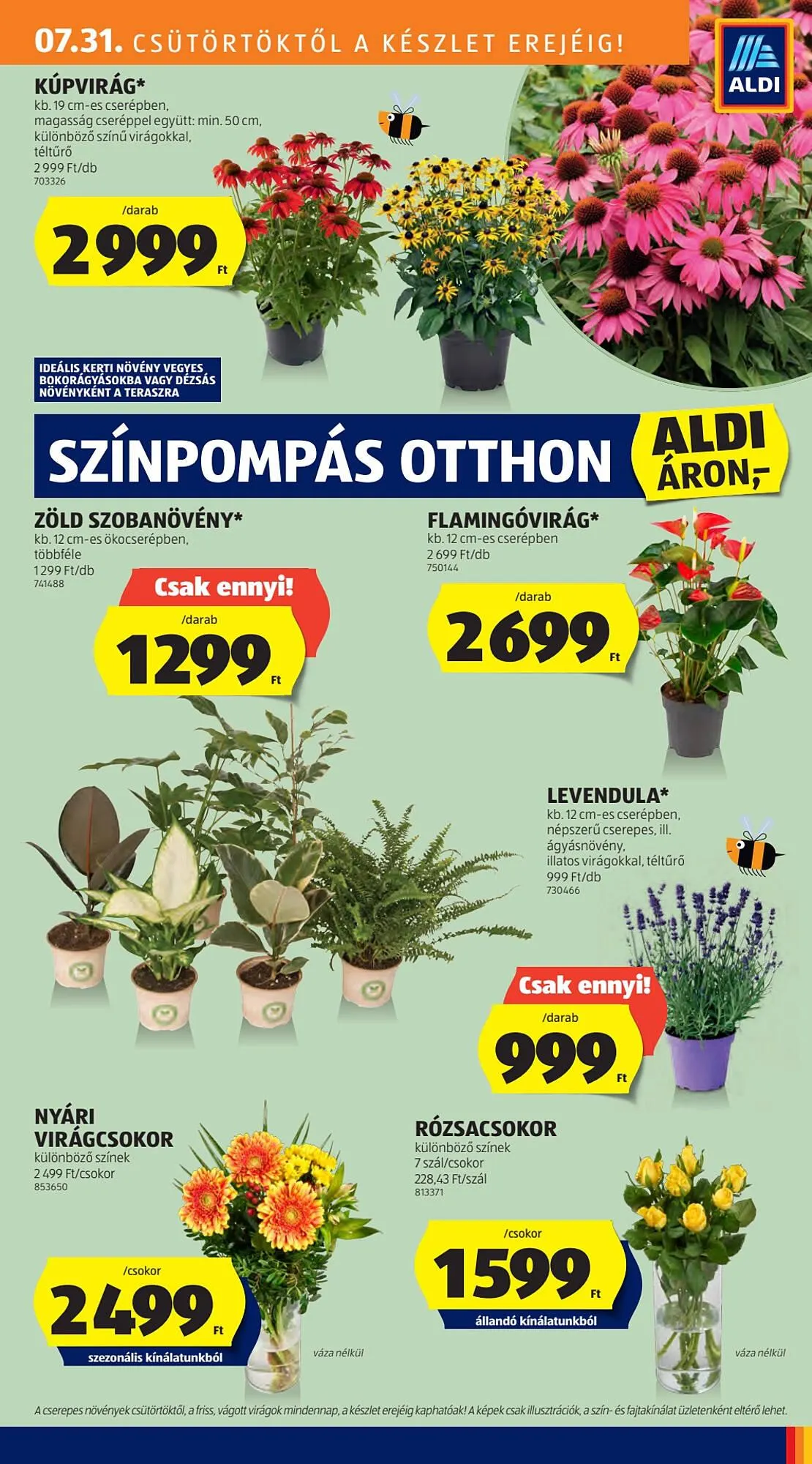 Katalógus ALDI akciós újság július 31.-tól augusztus 6.-ig 2025. - Oldal 10