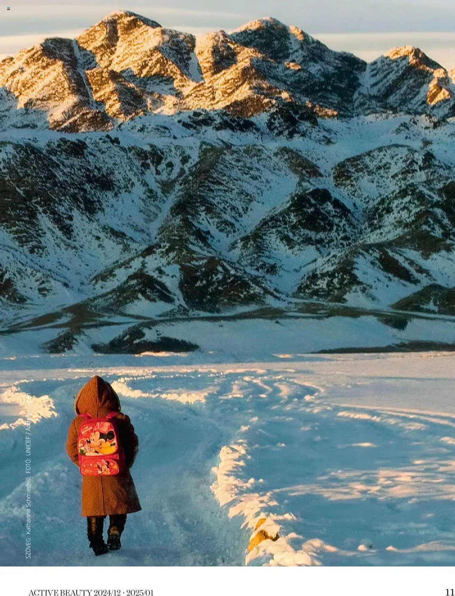 Katalógus DM akciós újság december 24.-tól január 25.-ig 2025. - Oldal 11