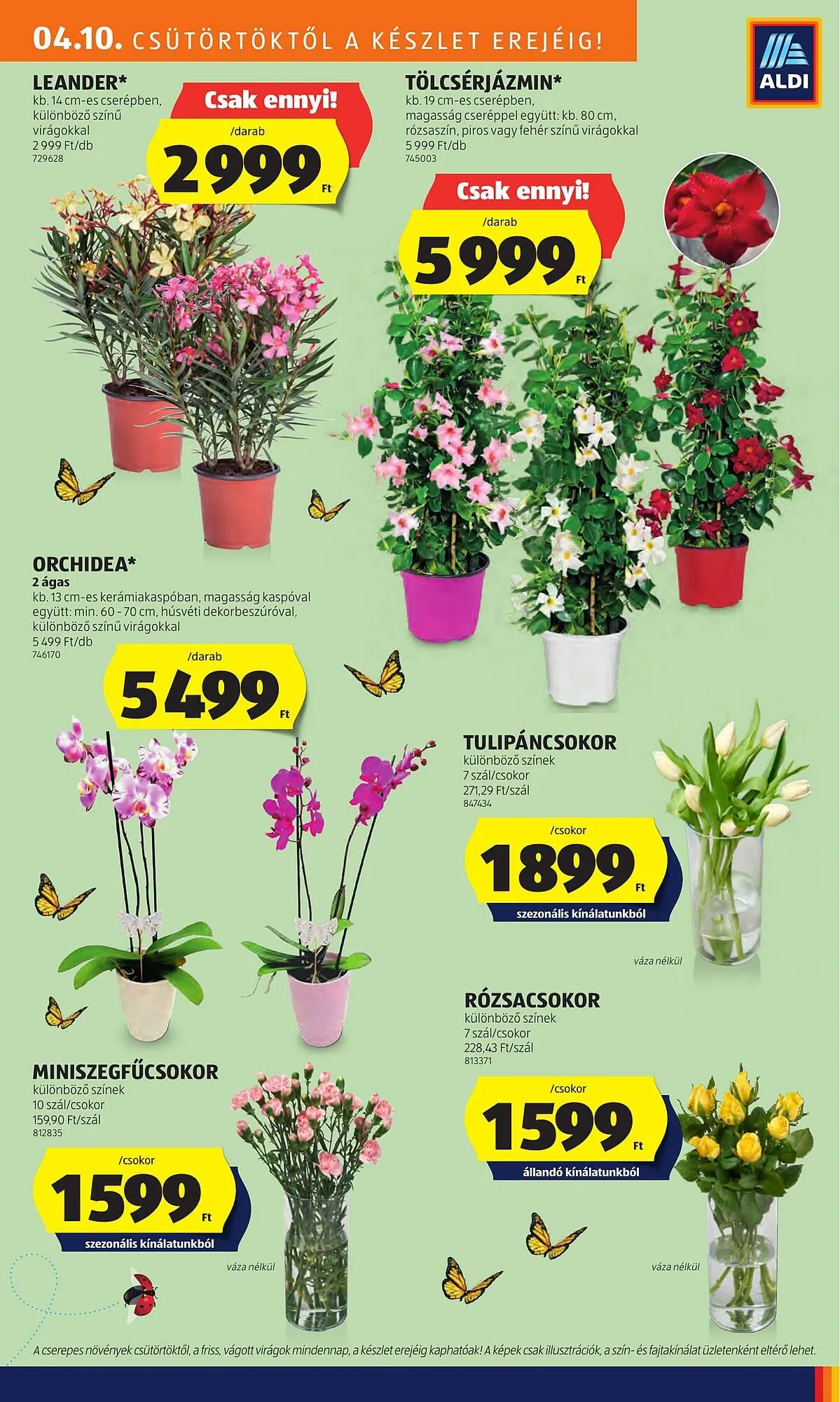 Katalógus ALDI akciós újság április 10.-tól április 19.-ig 2025. - Oldal 35