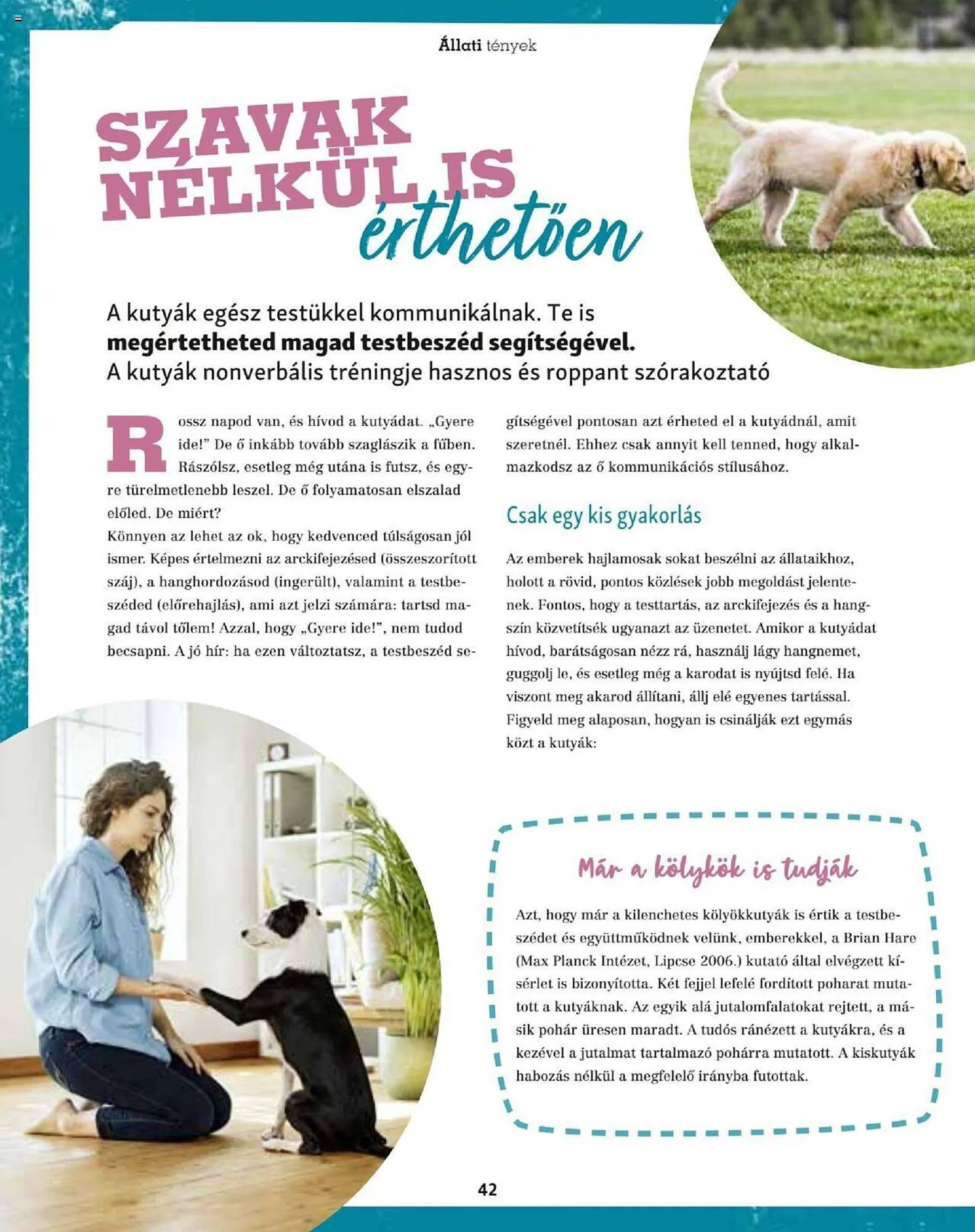 Katalógus Fressnapf akciós újság szeptember 25.-tól november 30.-ig 2023. - Oldal 42