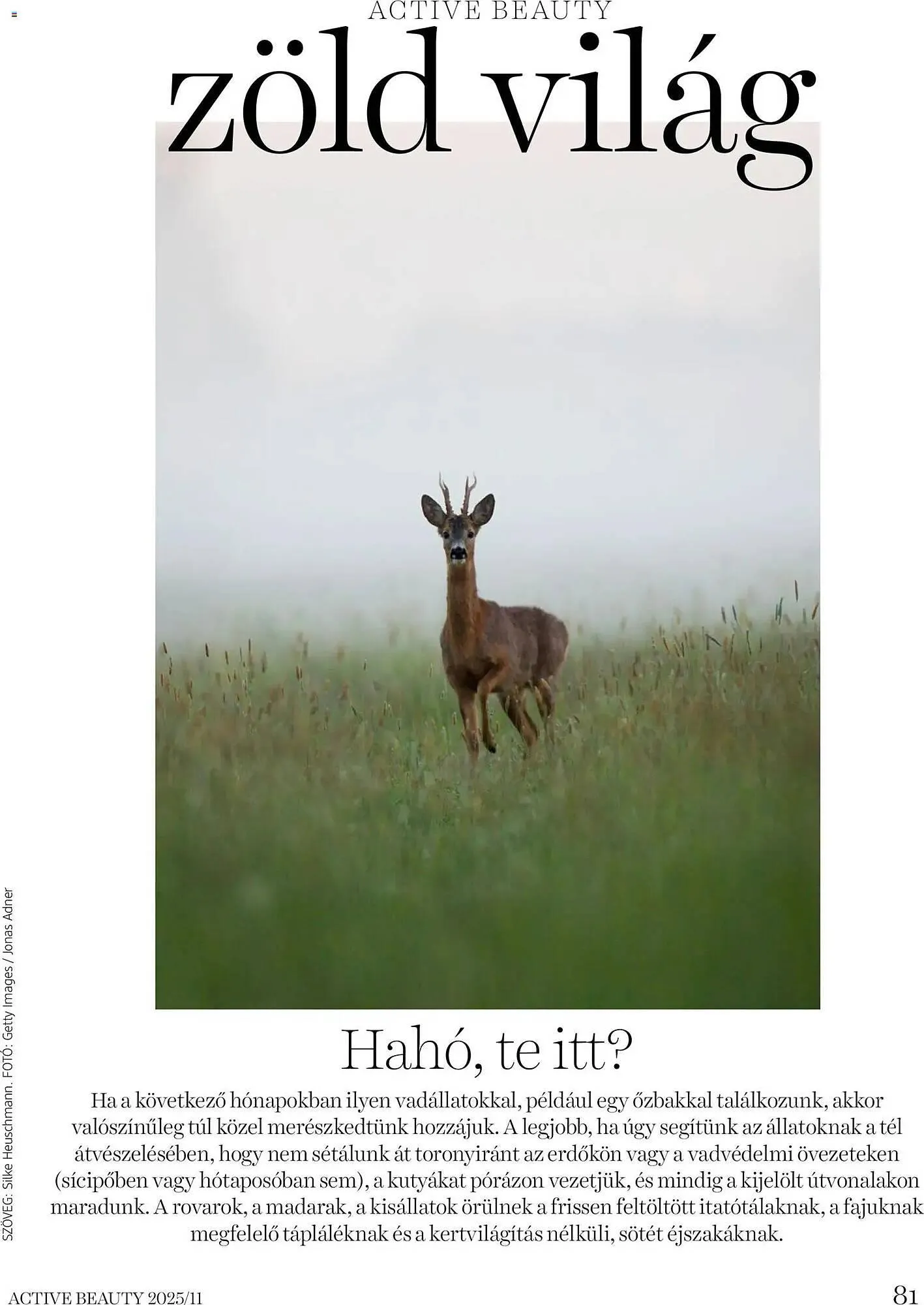 Katalógus DM akciós újság november 13.-tól november 30.-ig 2025. - Oldal 81