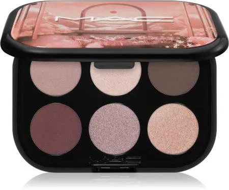 Connect In Colour Eye Shadow Palette 6 shades