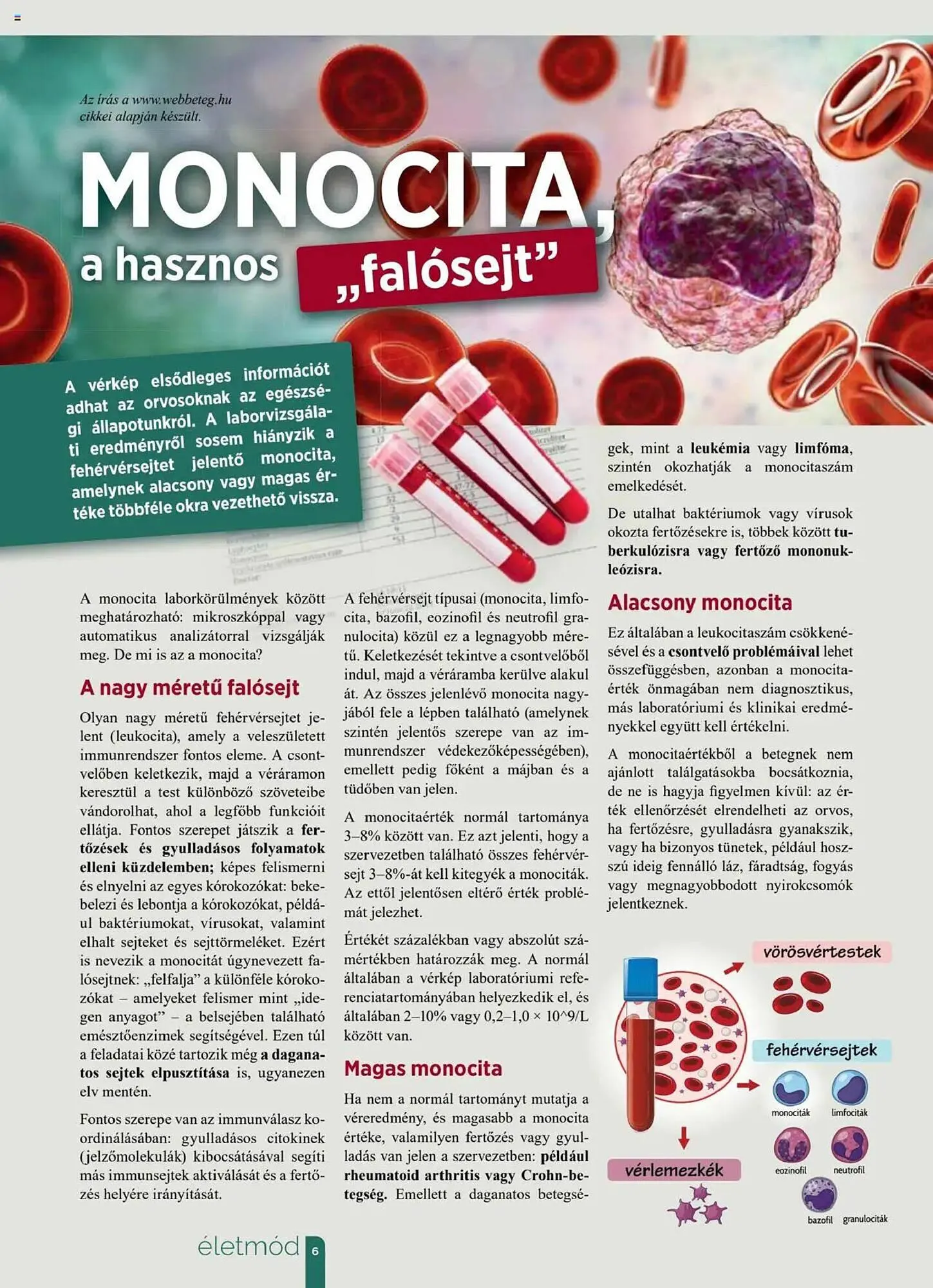 Katalógus Pingvin Patika akciós újság augusztus 1.-tól augusztus 31.-ig 2025. - Oldal 6