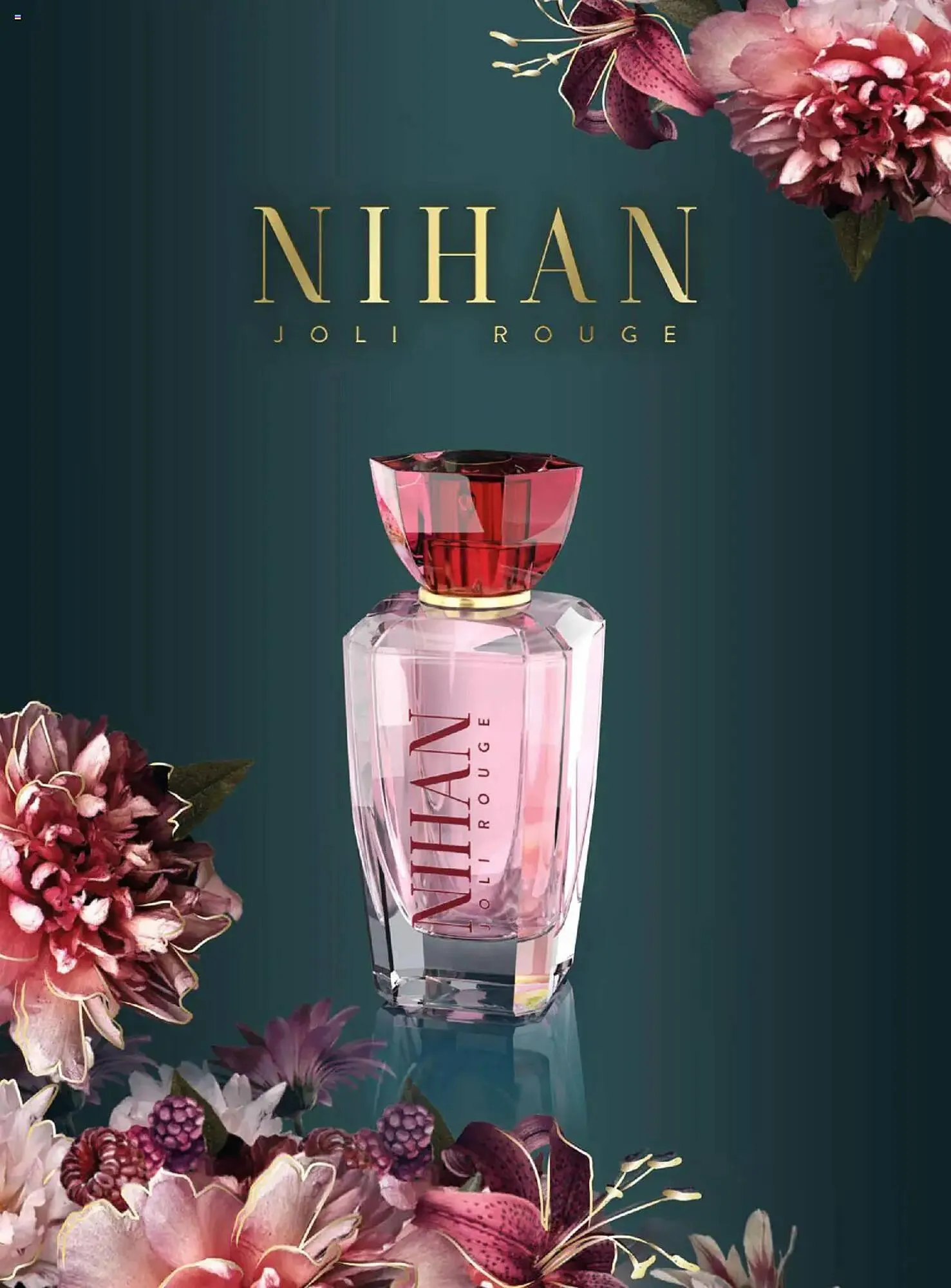 Katalógus DM akciós újság december 24.-tól január 25.-ig 2025. - Oldal 12