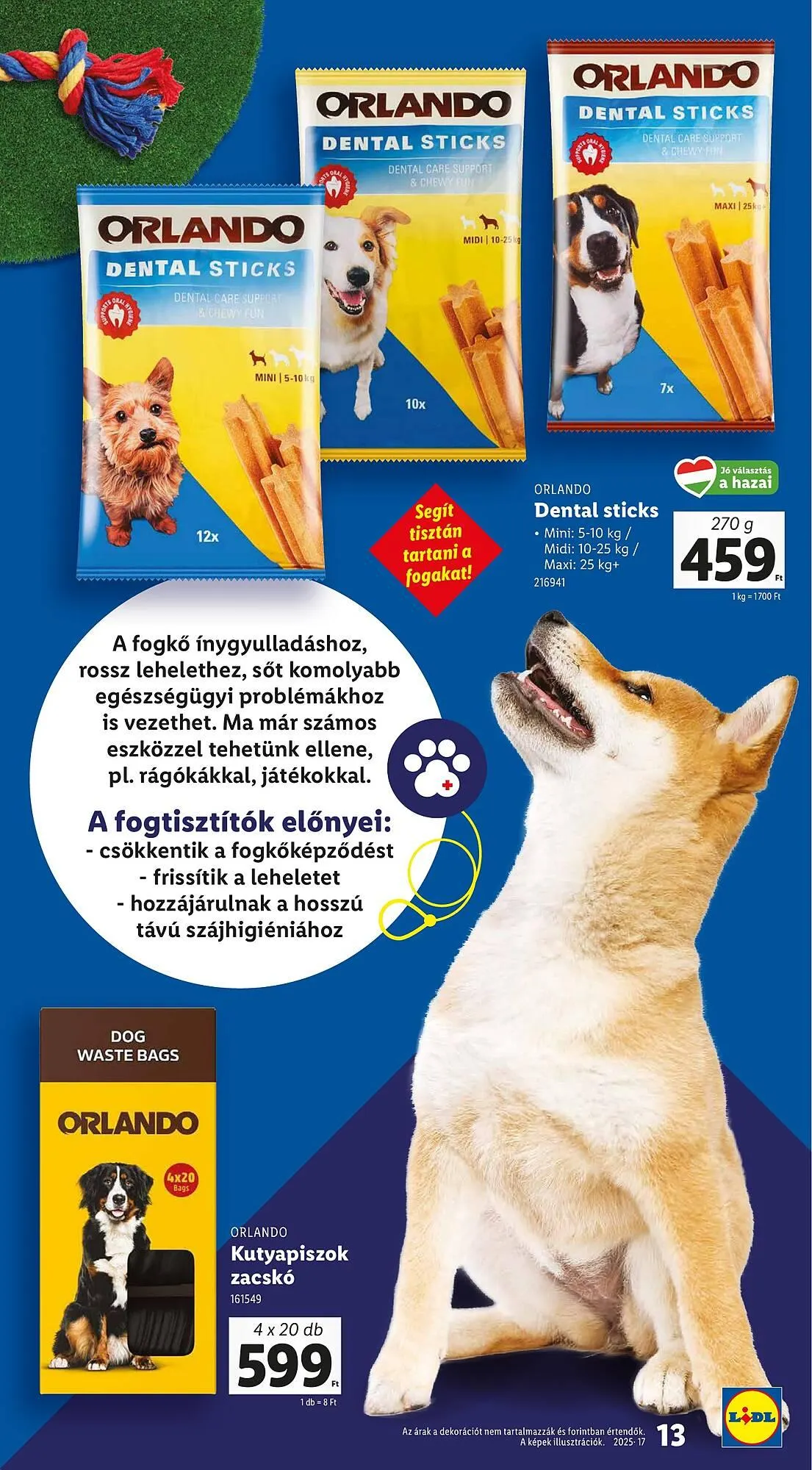 Katalógus Lidl akciós újság április 24.-tól május 13.-ig 2025. - Oldal 13