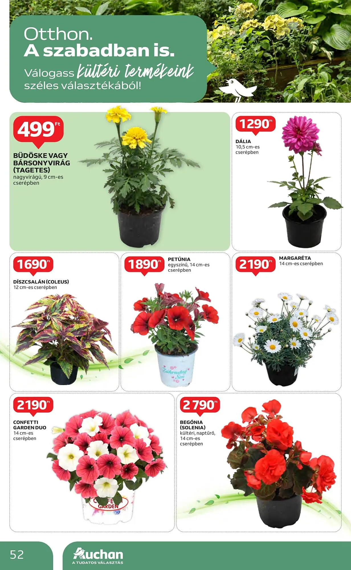 Katalógus Auchan akciós újság május 8.-tól május 14.-ig 2025. - Oldal 52