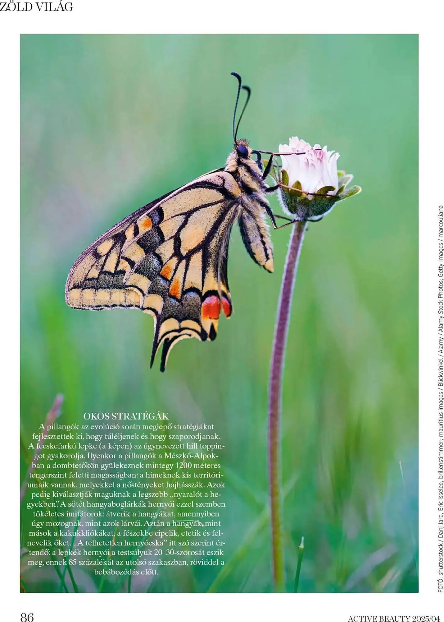 Katalógus DM akciós újság április 16.-tól április 24.-ig 2025. - Oldal 86