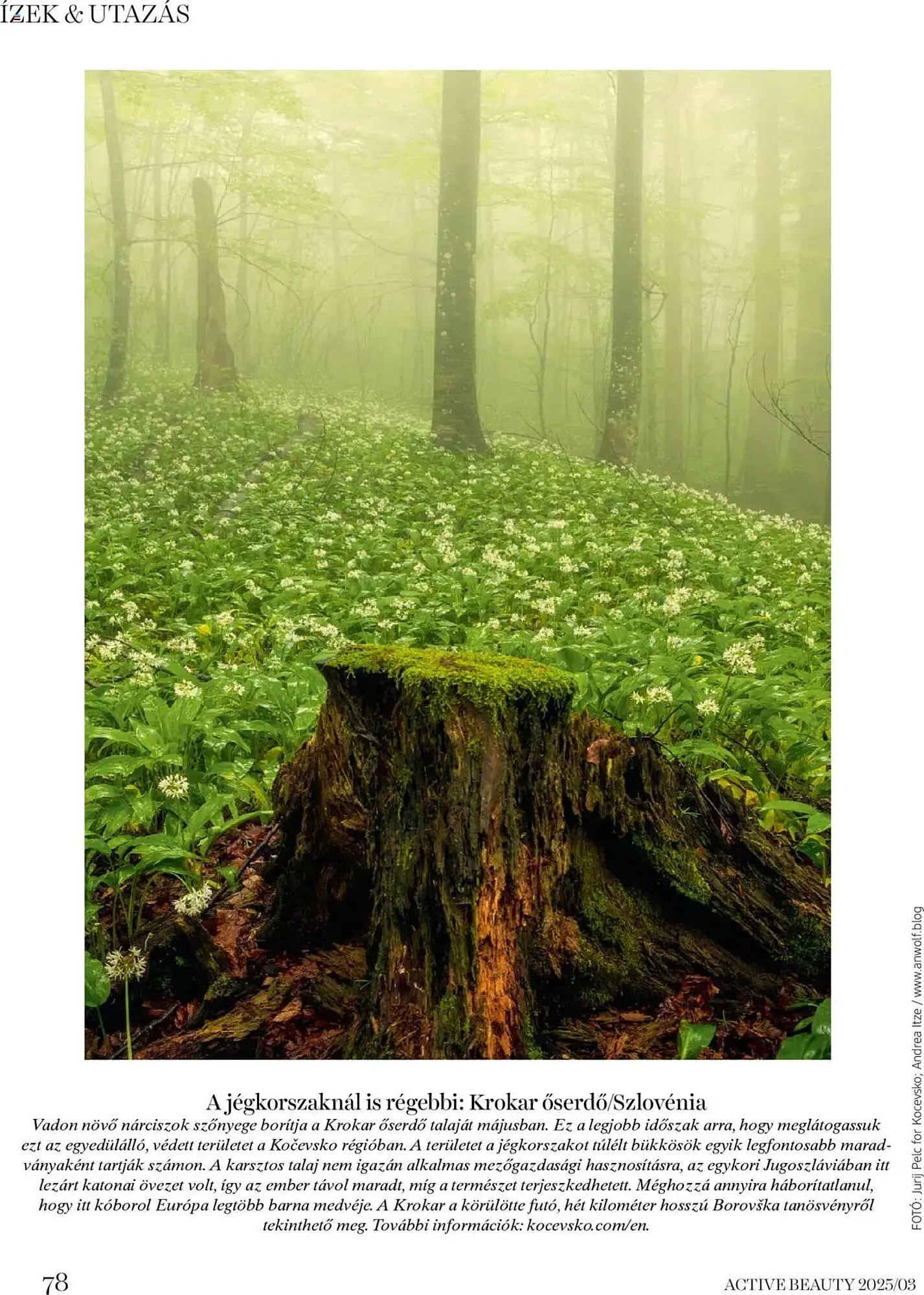 Katalógus DM akciós újság március 20.-tól március 27.-ig 2025. - Oldal 78