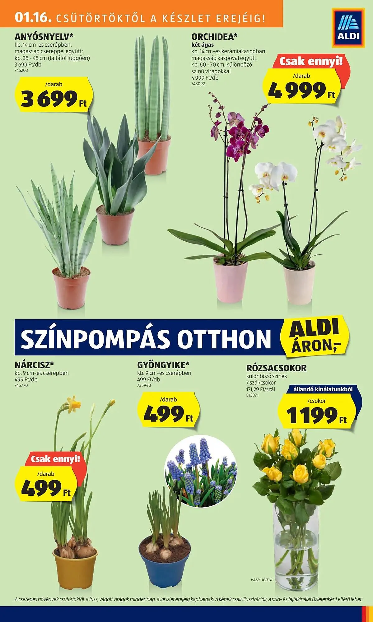 Katalógus ALDI akciós újság január 16.-tól január 22.-ig 2025. - Oldal 29