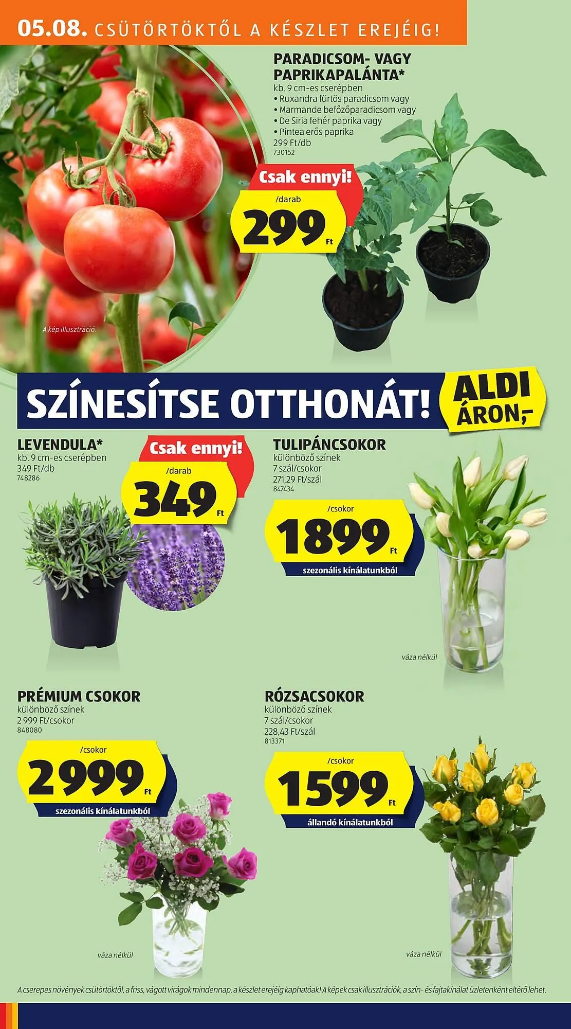 Katalógus ALDI akciós újság május 8.-tól május 14.-ig 2025. - Oldal 26