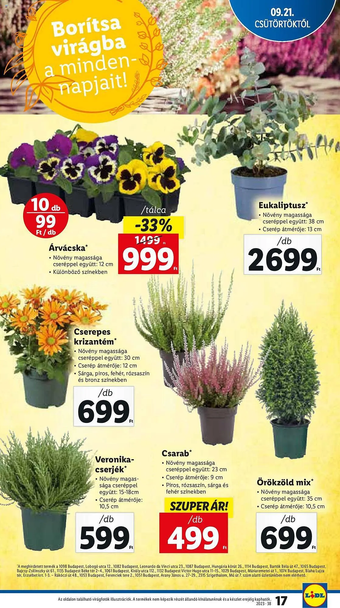 Katalógus Lidl akciós újság szeptember 21.-tól szeptember 27.-ig 2023. - Oldal 17