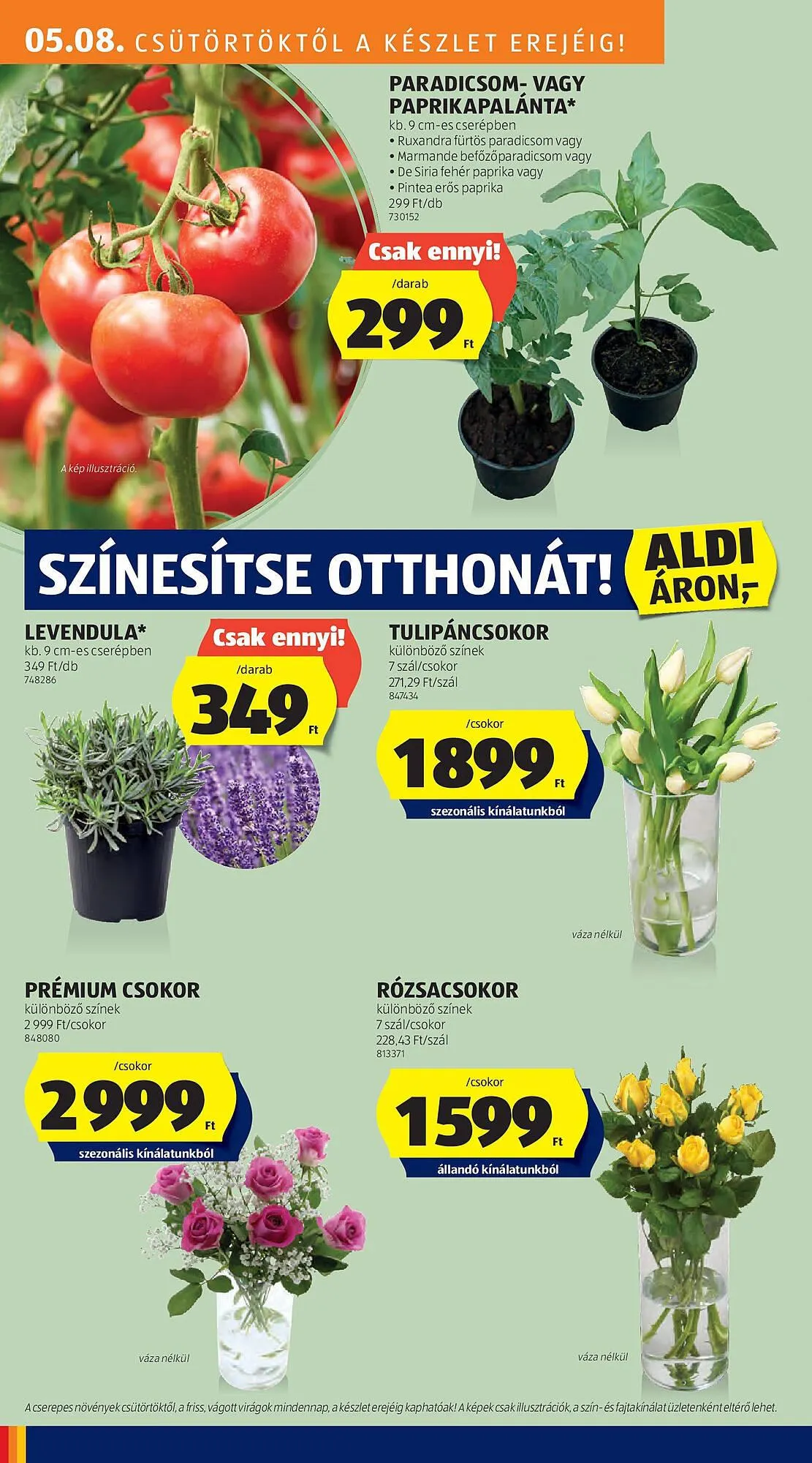 Katalógus ALDI akciós újság május 8.-tól május 14.-ig 2025. - Oldal 26