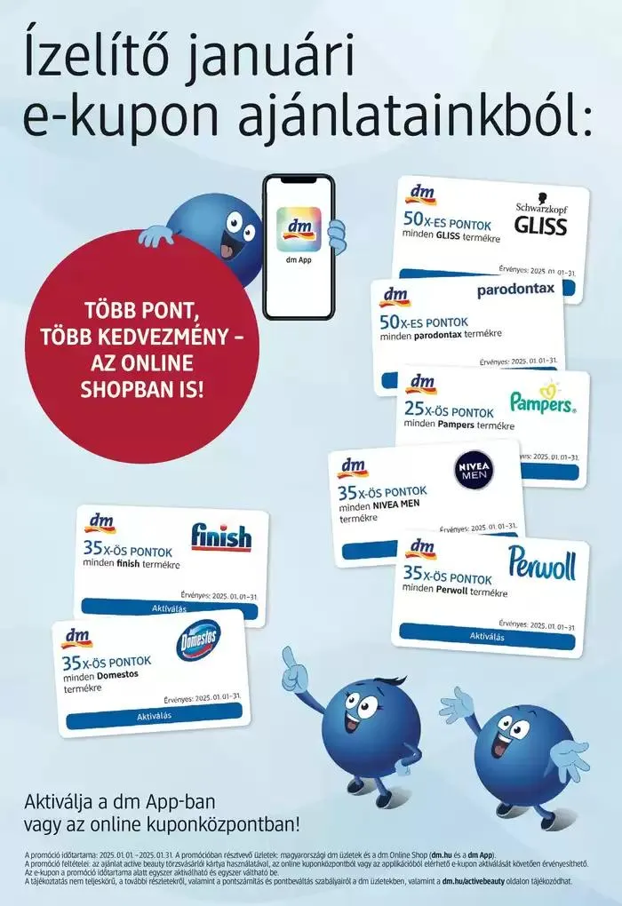 Katalógus Januári magazin január 10.-tól január 31.-ig 2025. - Oldal 19