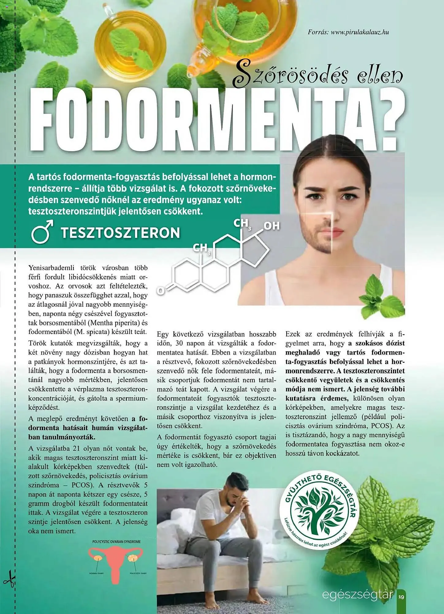 Katalógus Pingvin Patika akciós újság november 1.-tól november 30.-ig 2025. - Oldal 19