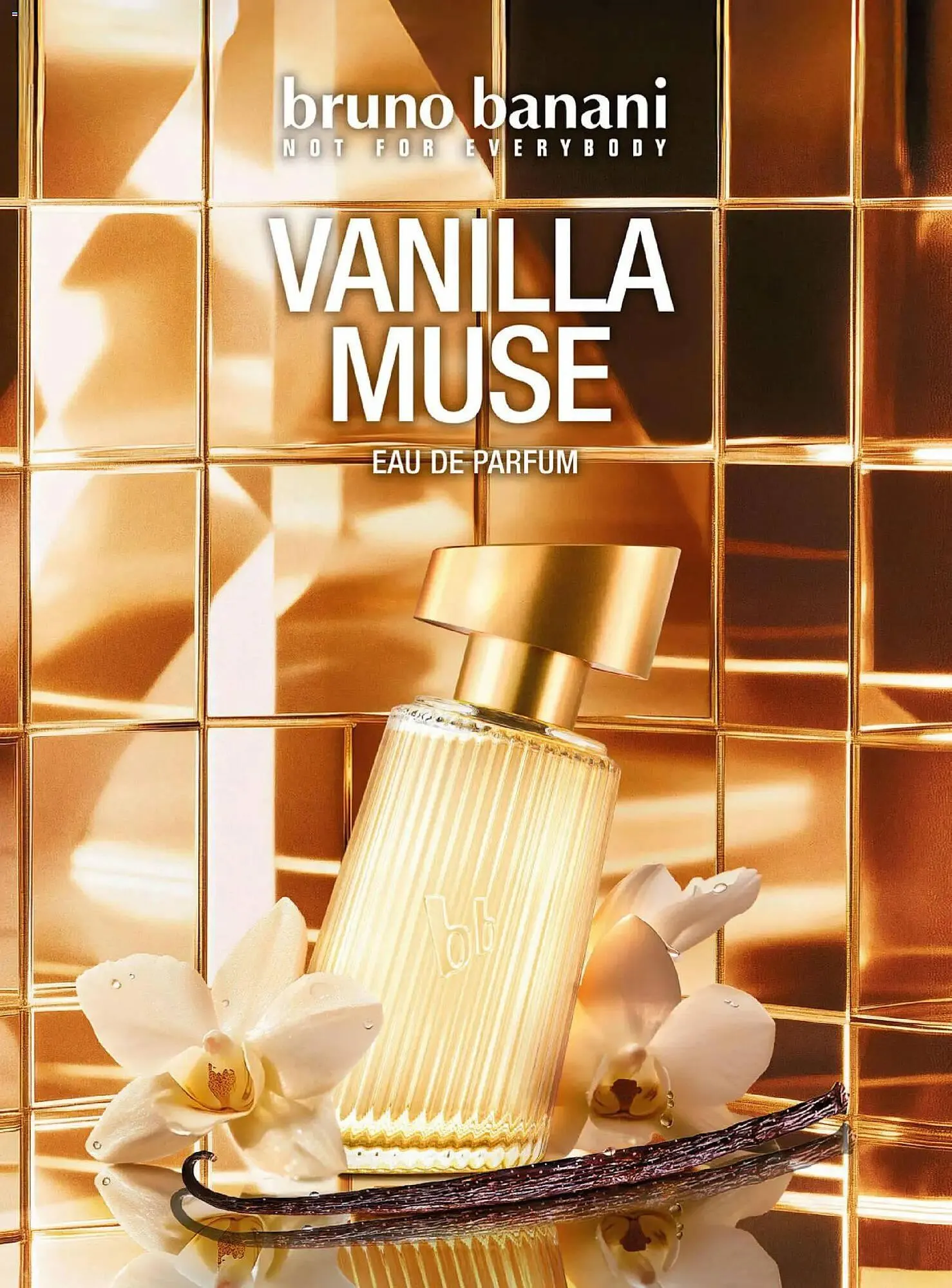 Katalógus DM akciós újság december 18.-tól január 31.-ig 2026. - Oldal 2