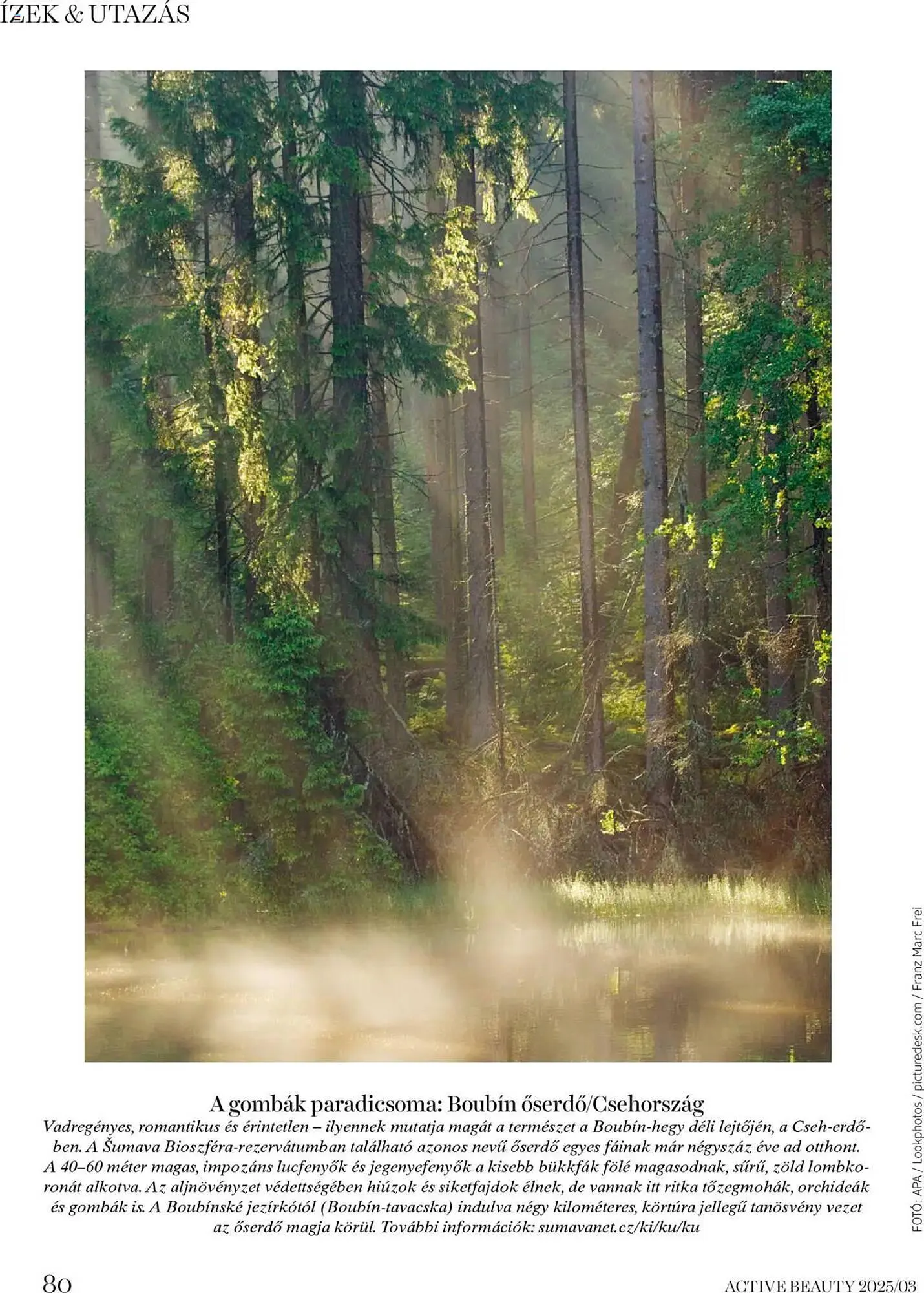 Katalógus DM akciós újság március 20.-tól március 27.-ig 2025. - Oldal 80