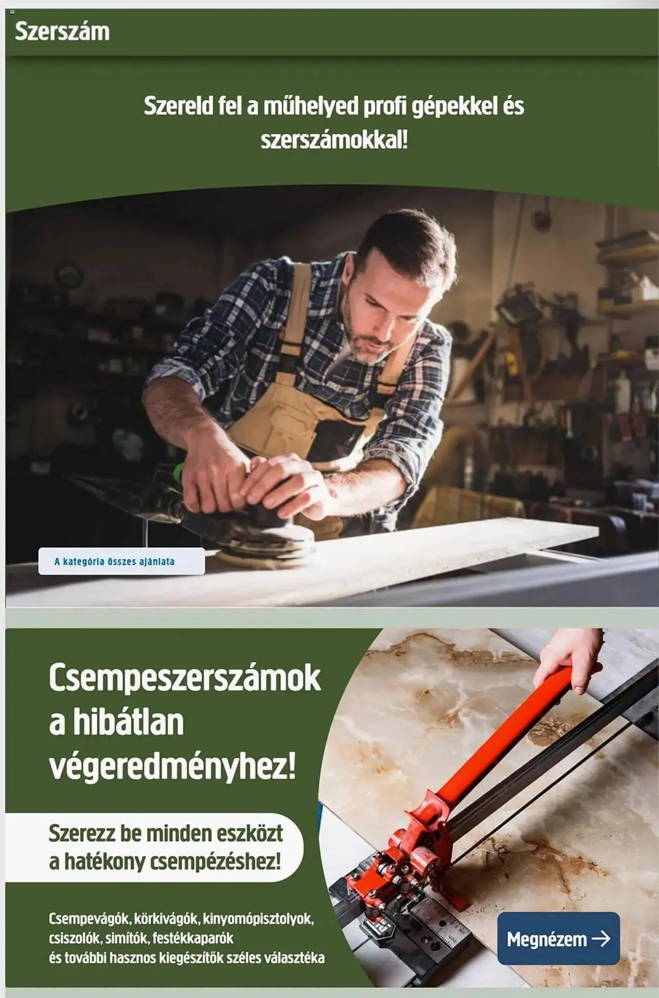 Katalógus Praktiker akciós újság január 31.-tól március 2.-ig 2025. - Oldal 14