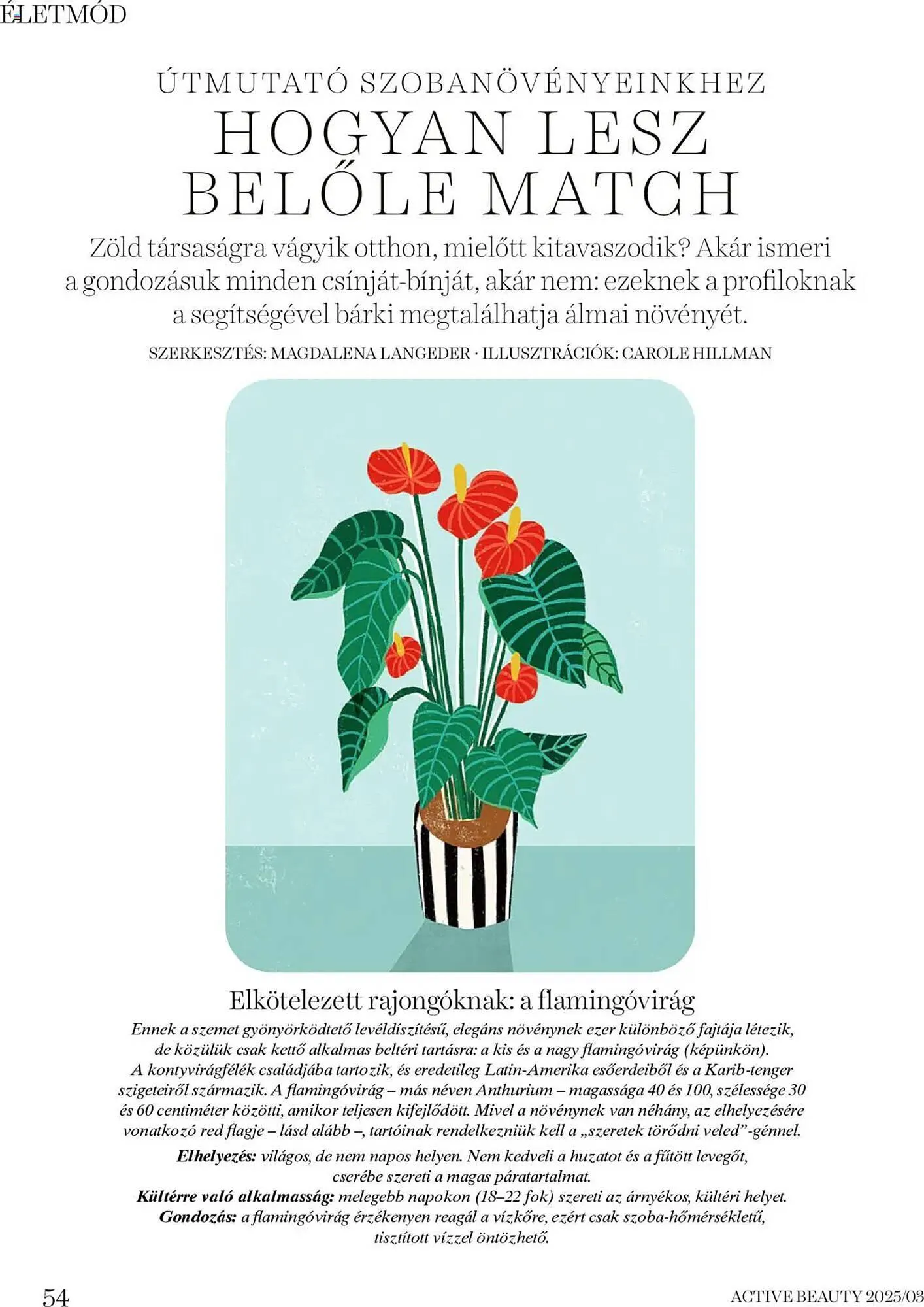 Katalógus DM akciós újság március 20.-tól március 27.-ig 2025. - Oldal 54