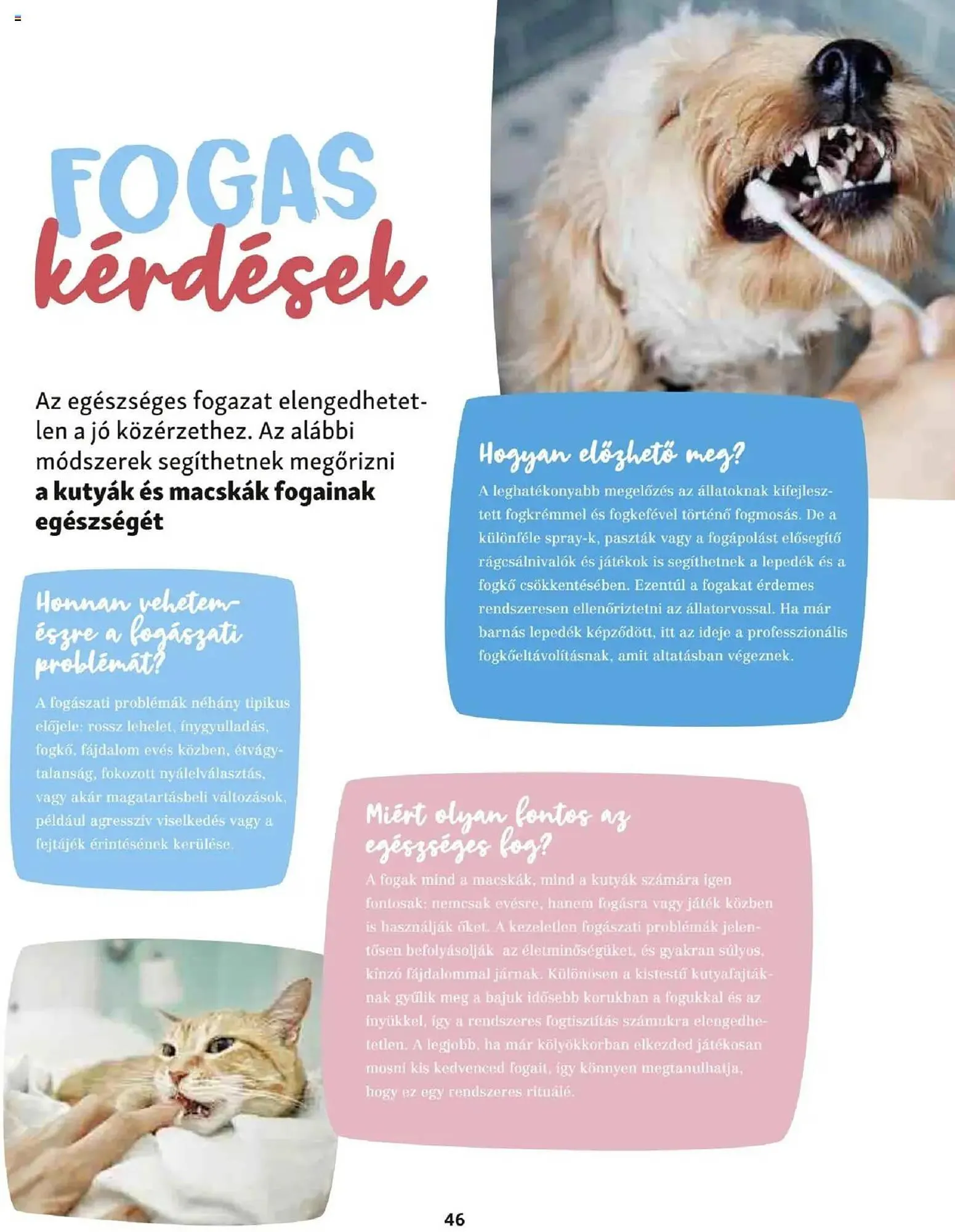 Katalógus Fressnapf akciós újság május 5.-tól május 13.-ig 2025. - Oldal 46