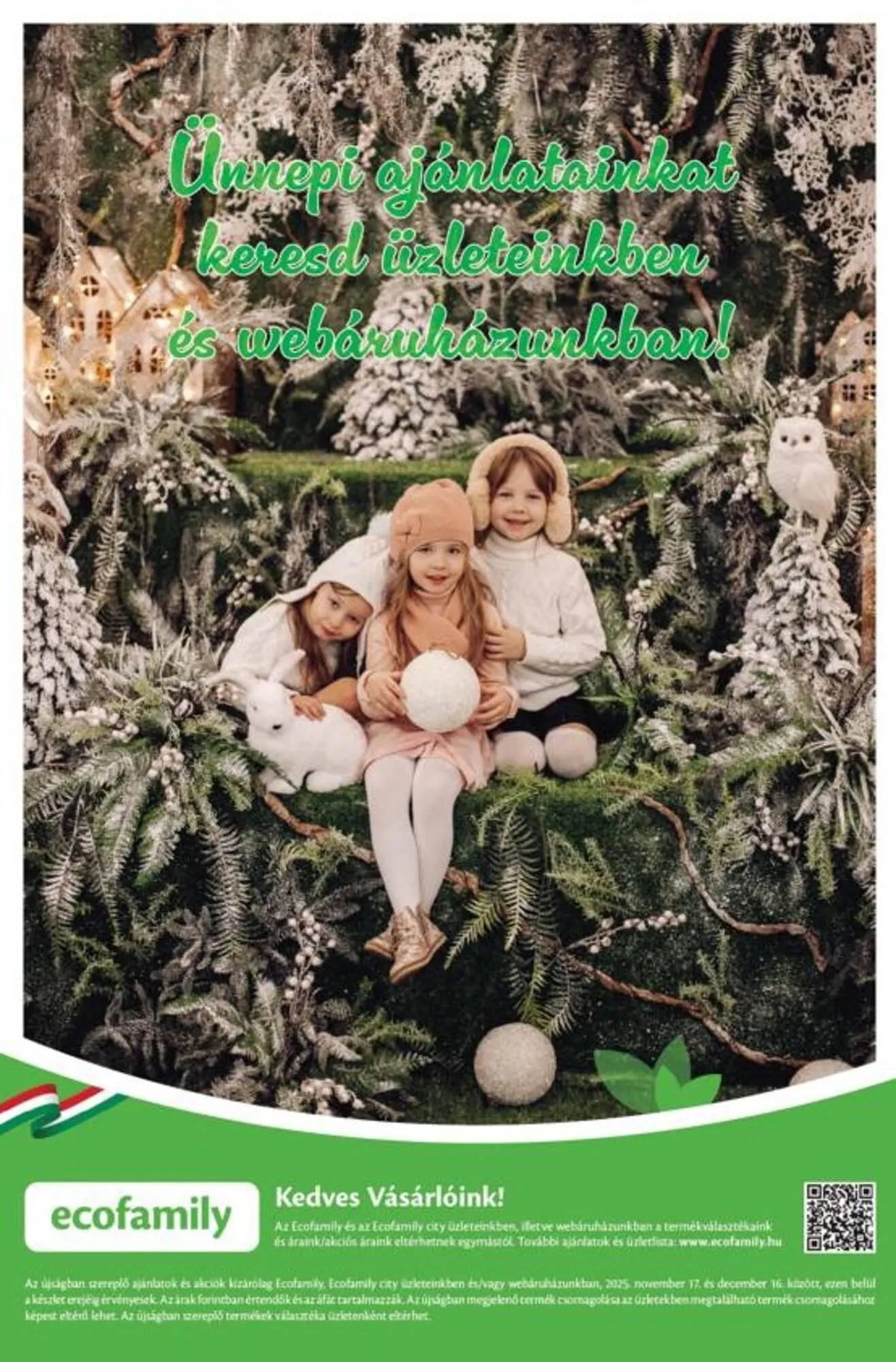 Katalógus EcoFamily akciós újság november 17.-tól december 16.-ig 2025. - Oldal 12