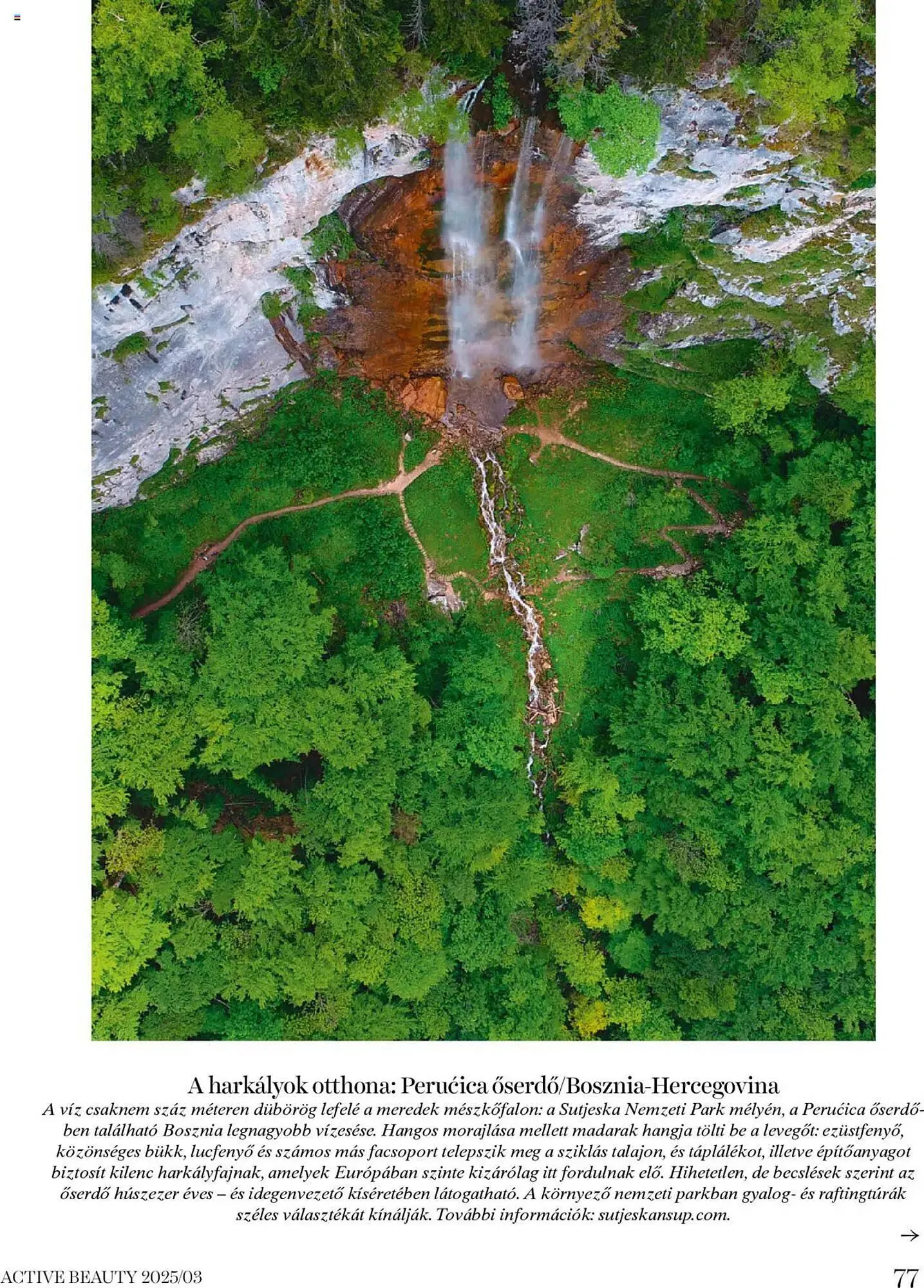 Katalógus DM akciós újság március 20.-tól március 27.-ig 2025. - Oldal 77