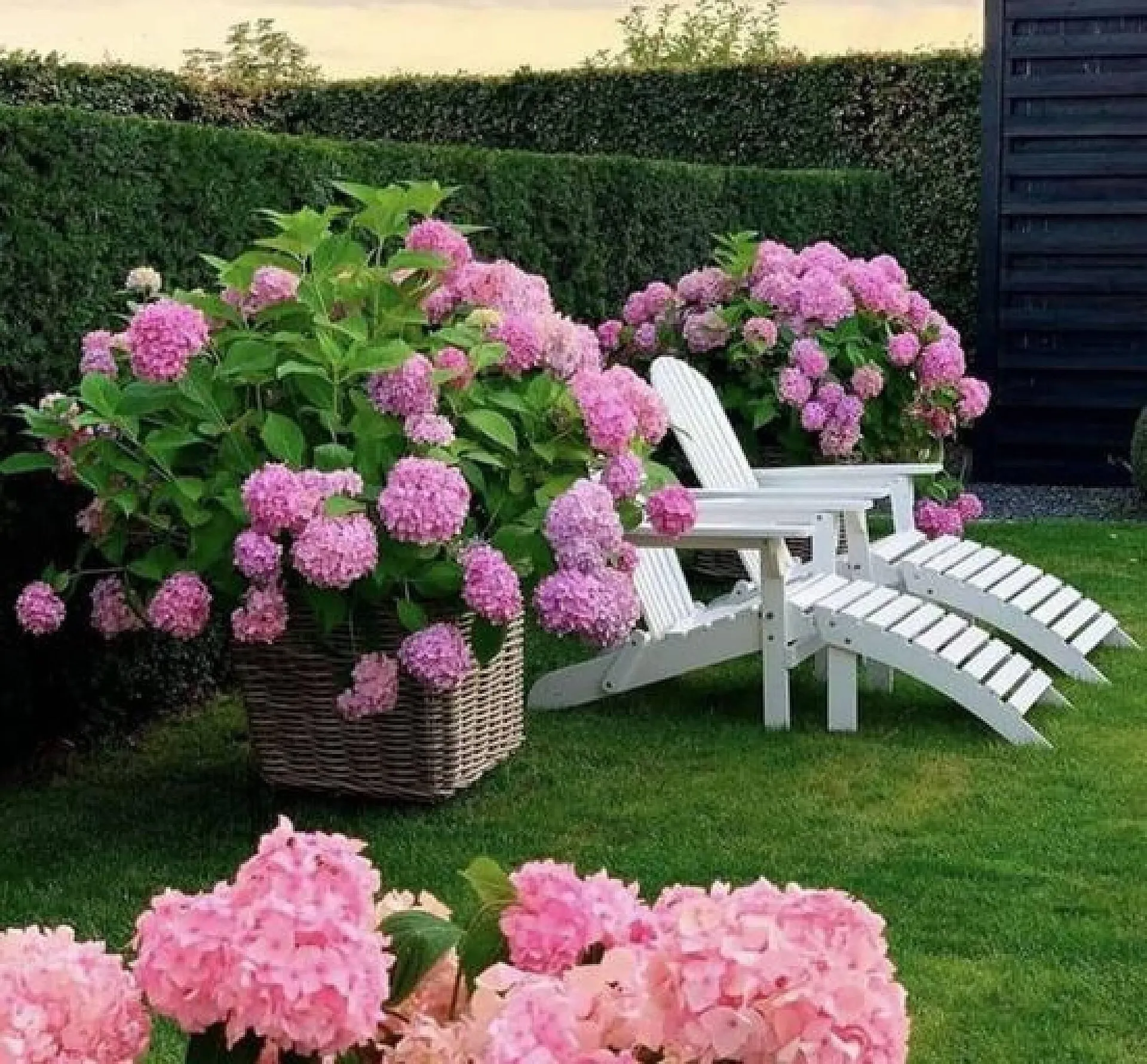 Katalógus Bijou Brigitte akciós újság április 12.-tól április 25.-ig 2024. - Oldal 1