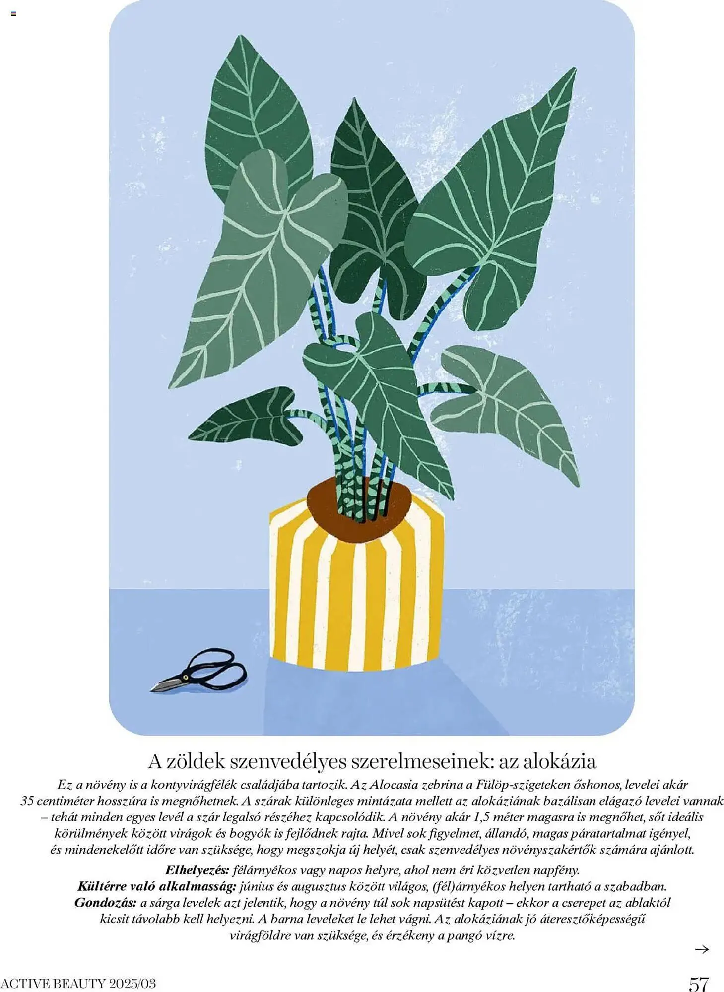 Katalógus DM akciós újság március 20.-tól március 27.-ig 2025. - Oldal 57