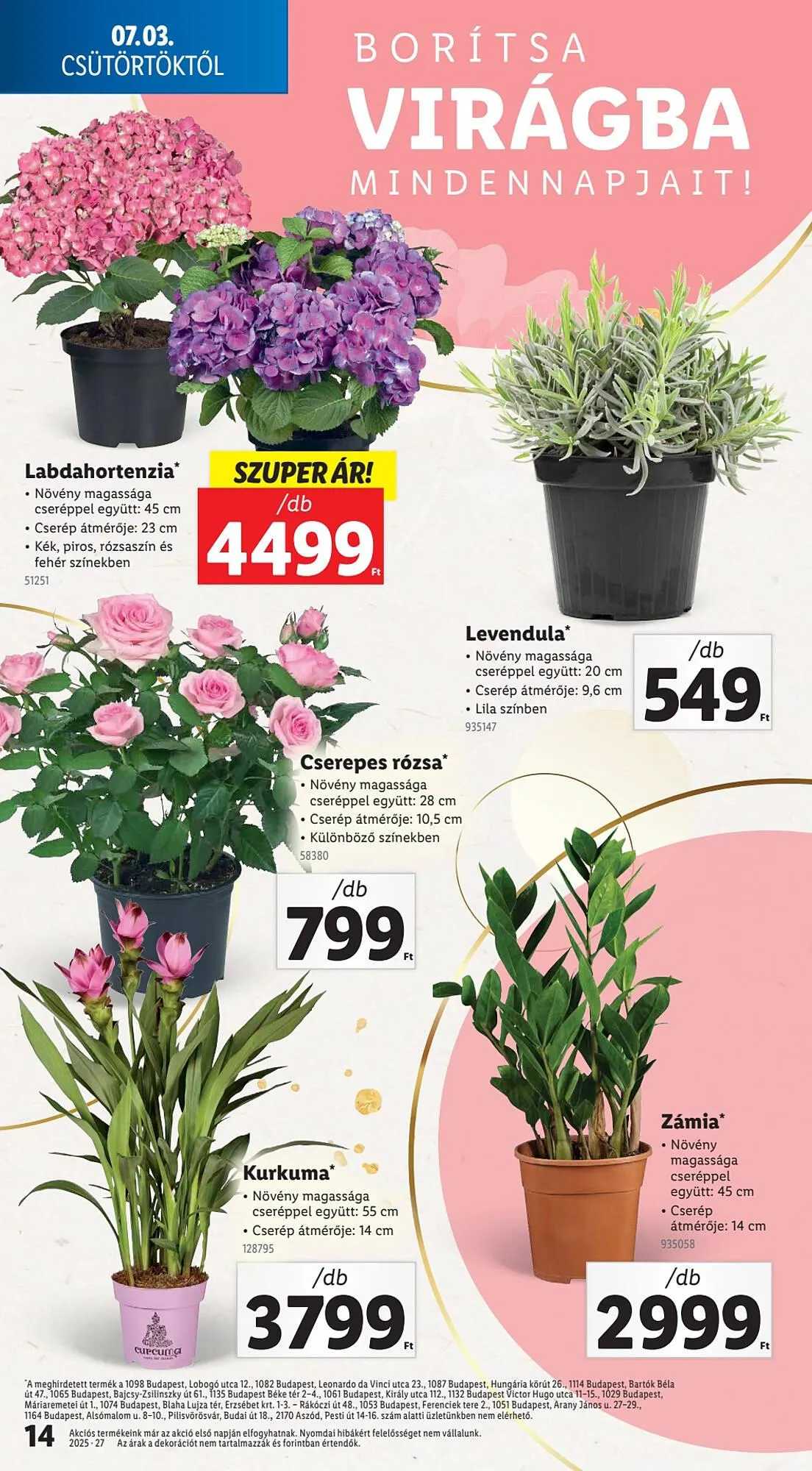 Katalógus Lidl akciós újság július 3.-tól július 9.-ig 2025. - Oldal 14