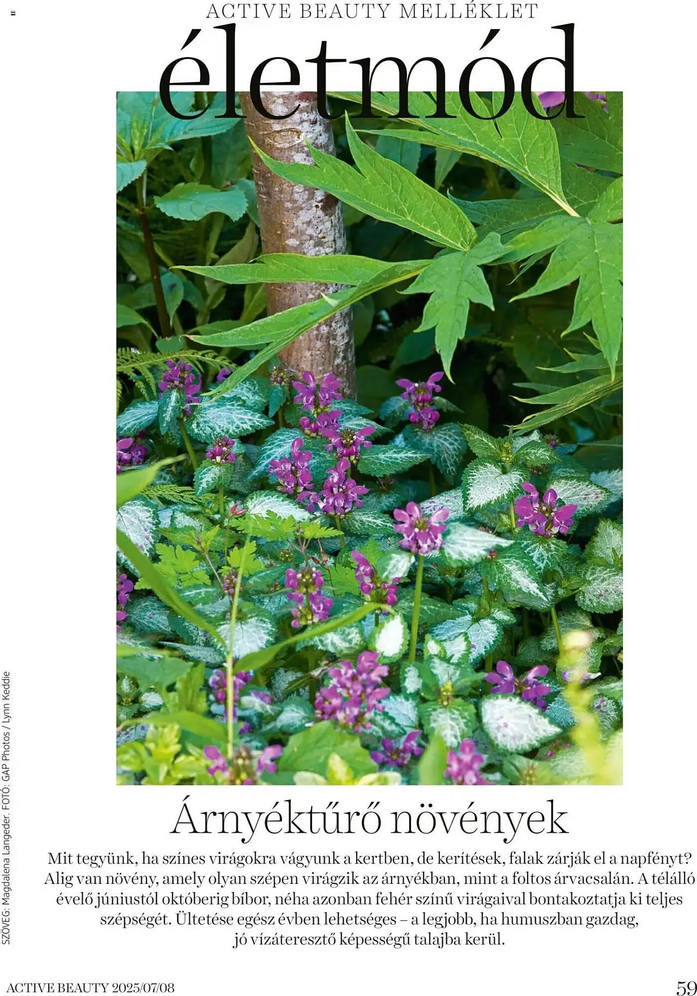 Katalógus DM akciós újság július 16.-tól augusztus 31.-ig 2025. - Oldal 59