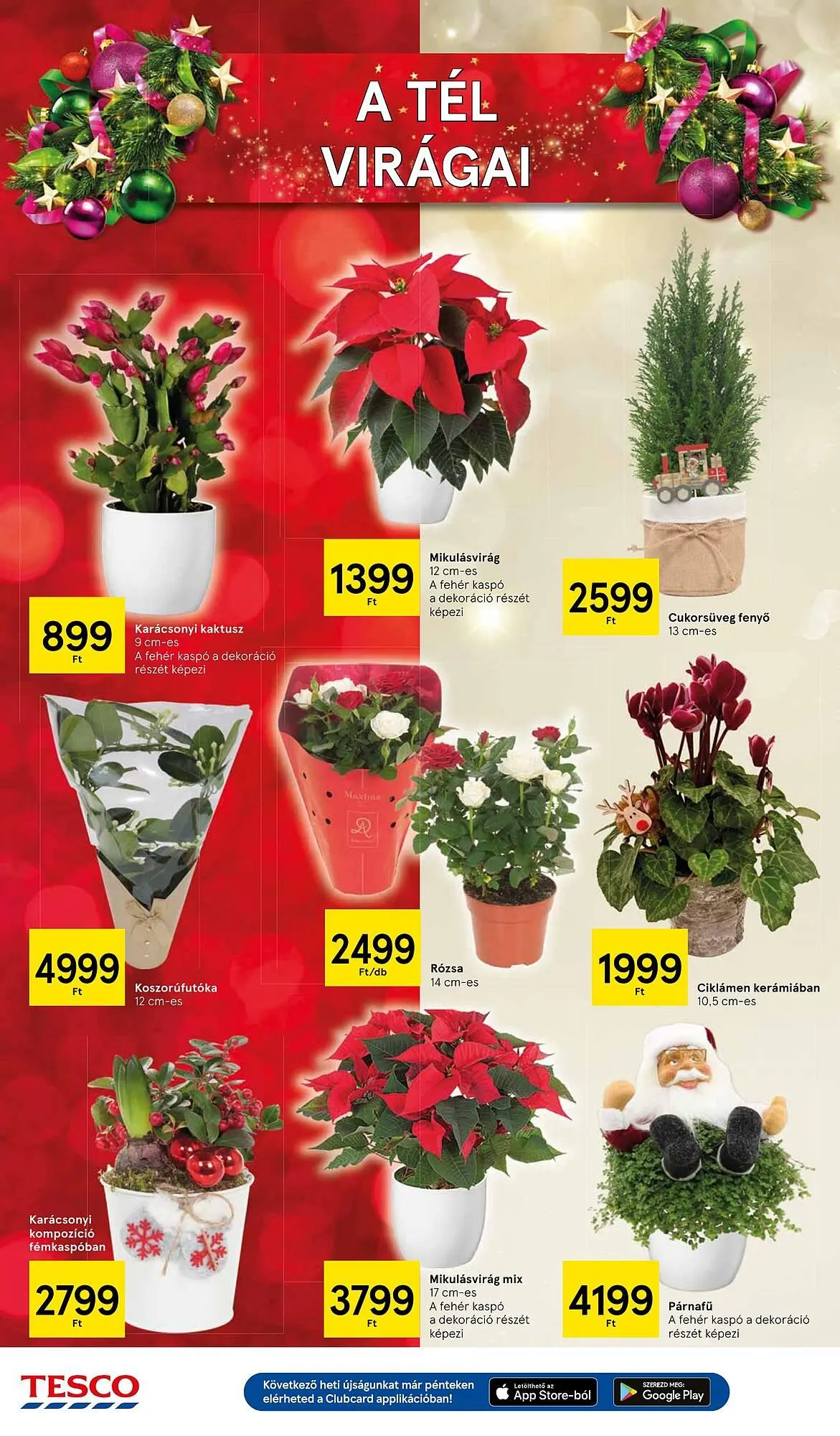 Katalógus Tesco akciós újság december 4.-tól december 10.-ig 2025. - Oldal 40