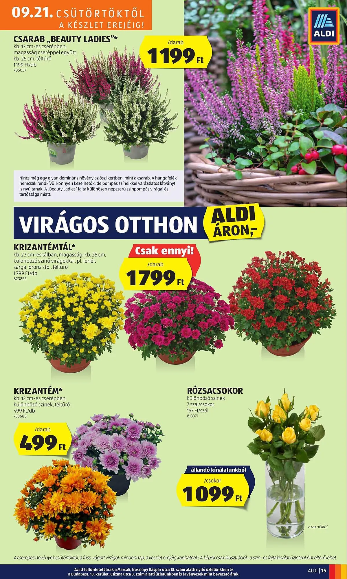 Katalógus ALDI akciós újság szeptember 21.-tól szeptember 27.-ig 2023. - Oldal 17