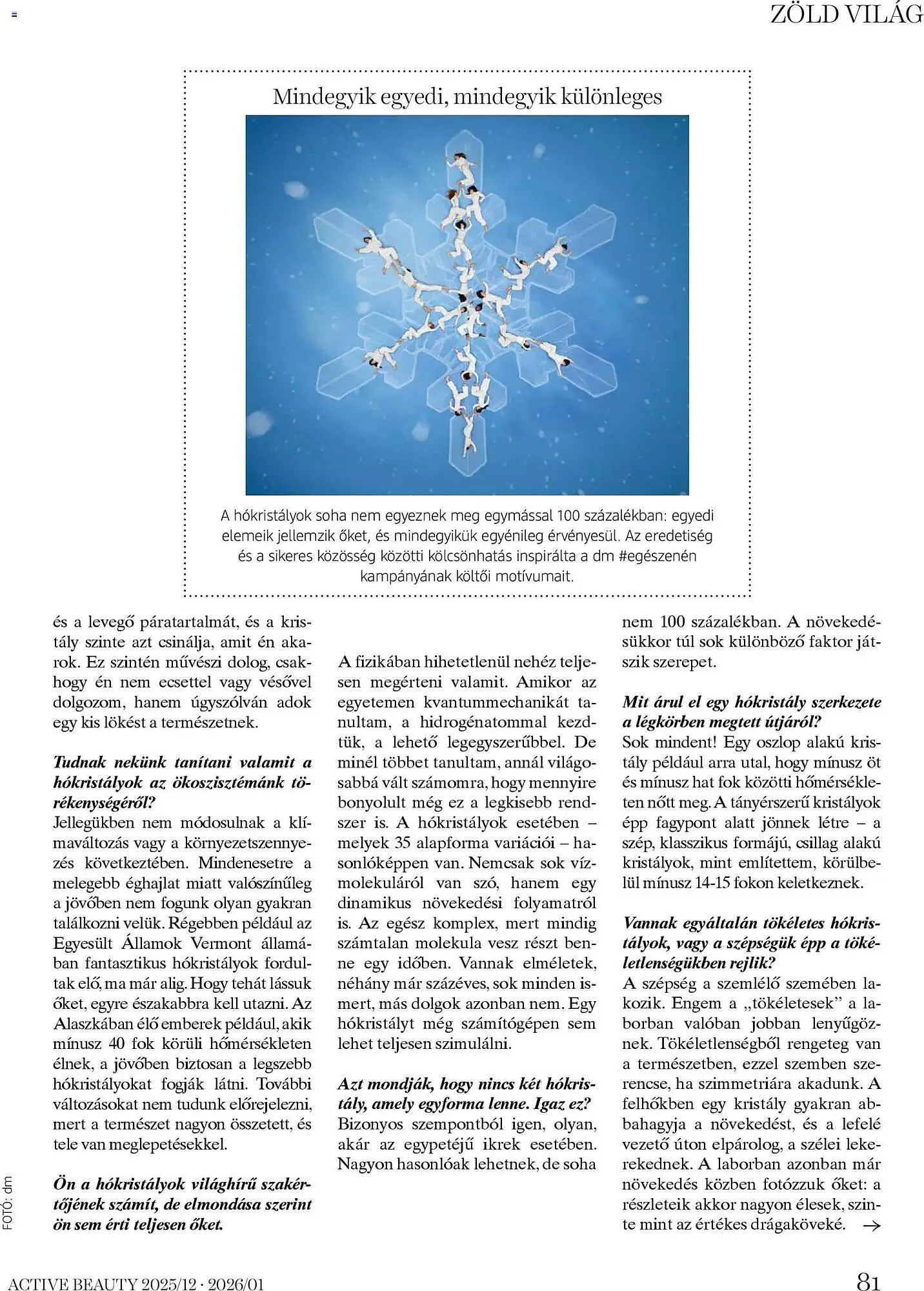 Katalógus DM akciós újság december 18.-tól január 31.-ig 2026. - Oldal 81