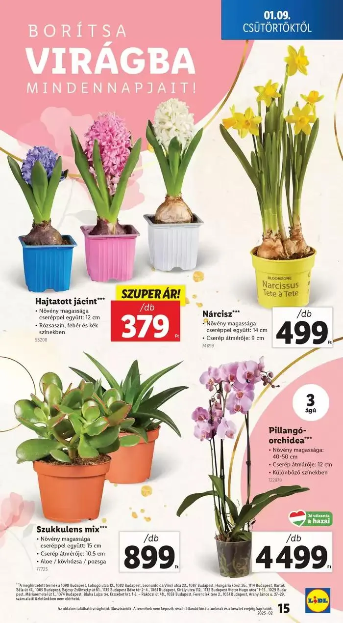 Katalógus Akciós újság – 02. hét január 9.-tól január 15.-ig 2025. - Oldal 15