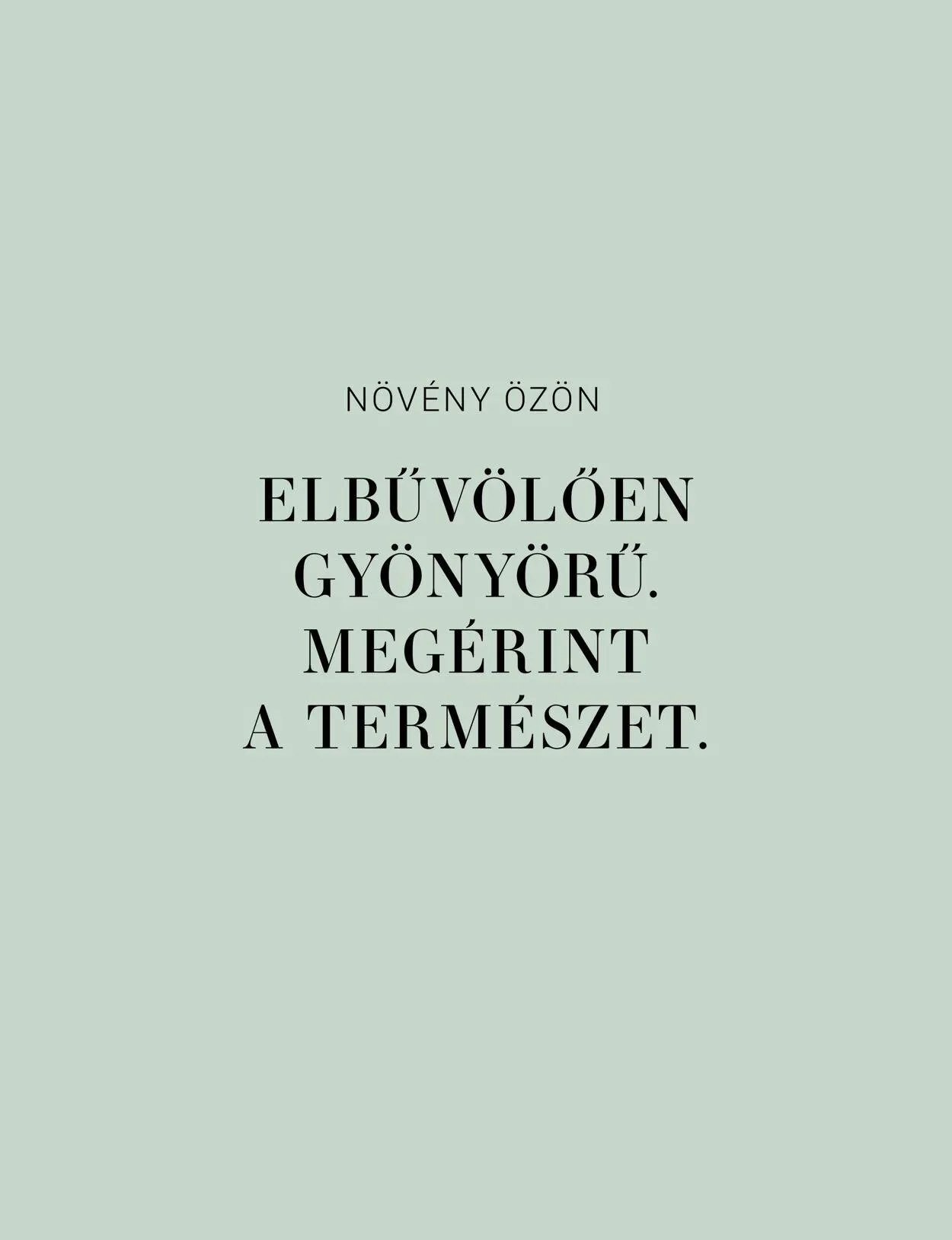 Katalógus Butlers március 14.-tól december 31.-ig 2023. - Oldal 40