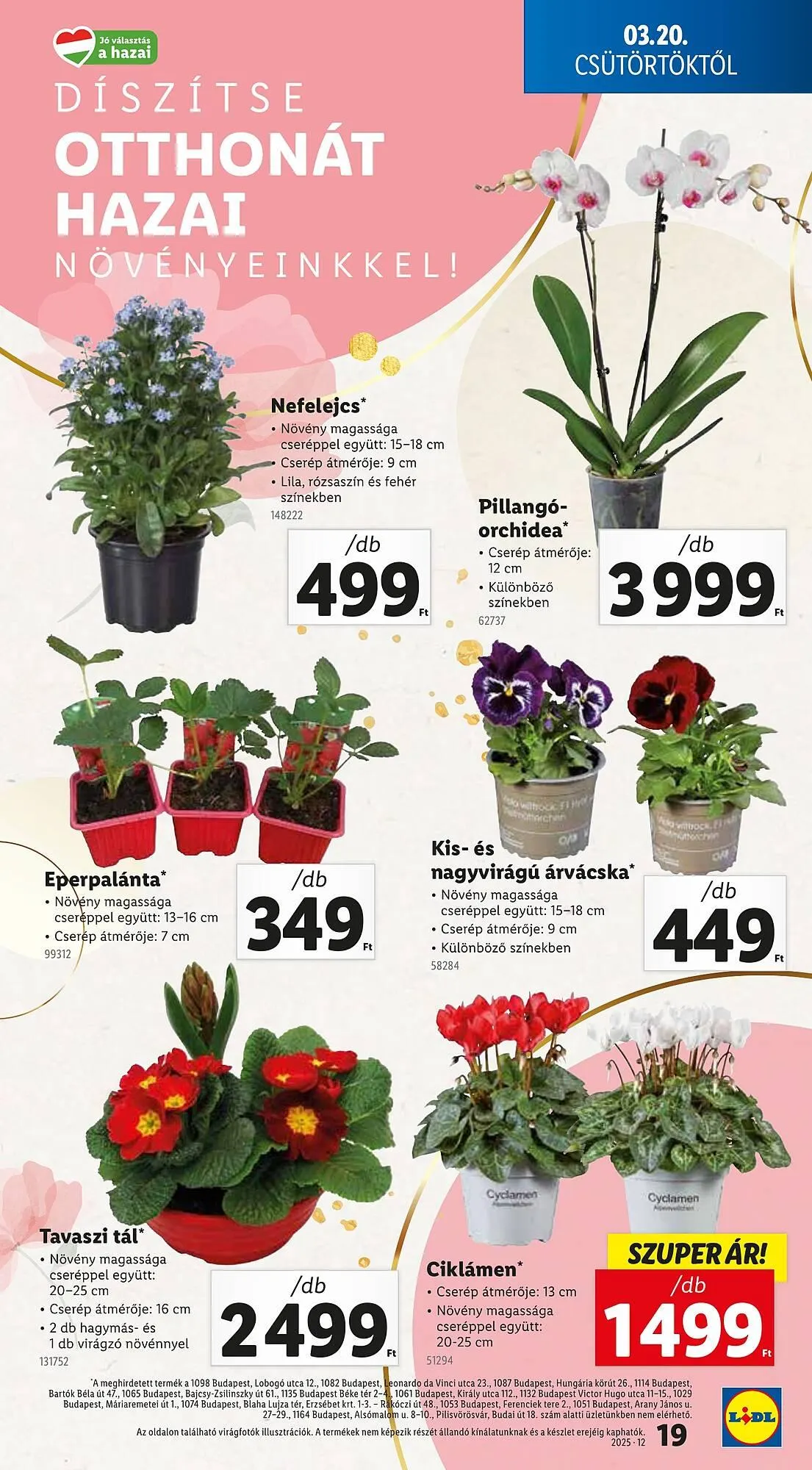 Katalógus Lidl akciós újság március 20.-tól március 26.-ig 2025. - Oldal 19