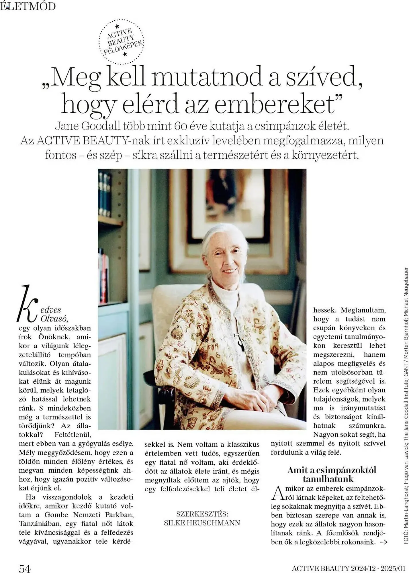 Katalógus DM akciós újság december 24.-tól január 25.-ig 2025. - Oldal 54