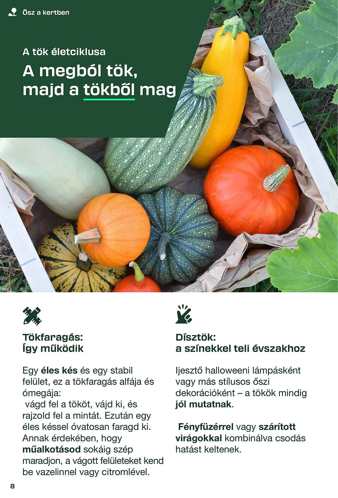 Katalógus Pick-Lidl Nyereményjáték 2025.09.24 akciós újság augusztus 30.-tól december 31.-ig 2025. - Oldal 8