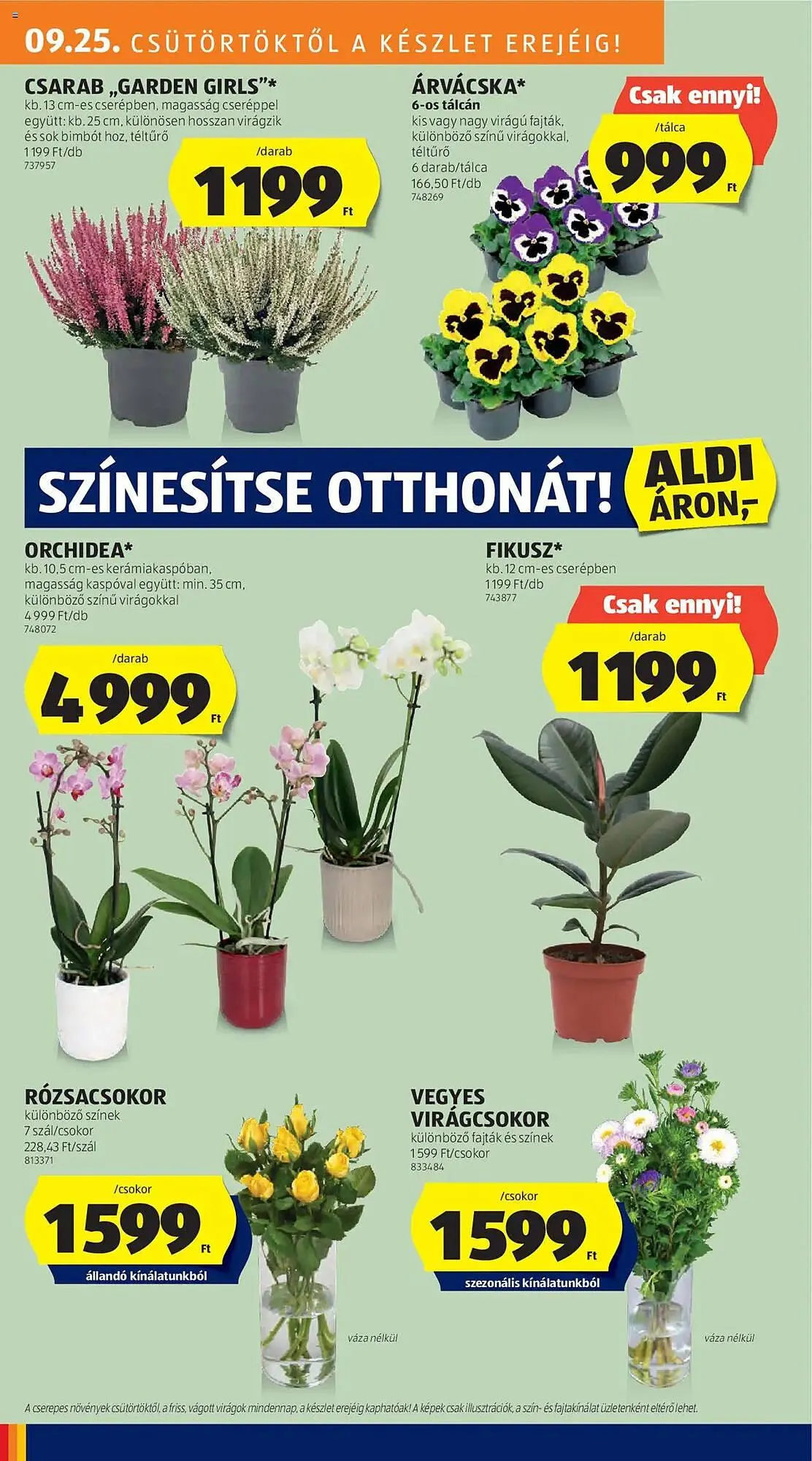 Katalógus ALDI akciós újság szeptember 25.-tól október 8.-ig 2025. - Oldal 8