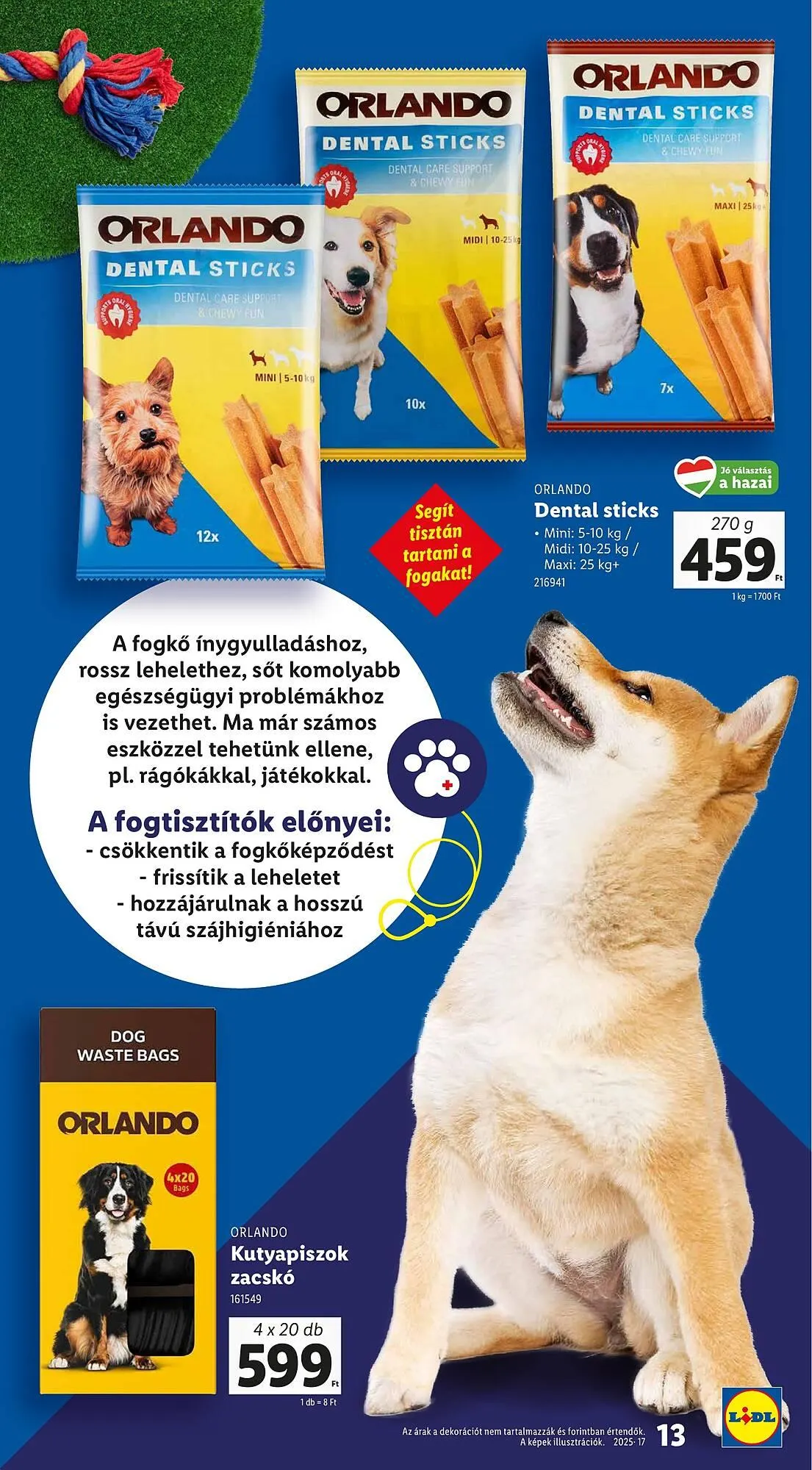 Katalógus Lidl akciós újság október 24.-tól november 6.-ig 2025. - Oldal 13