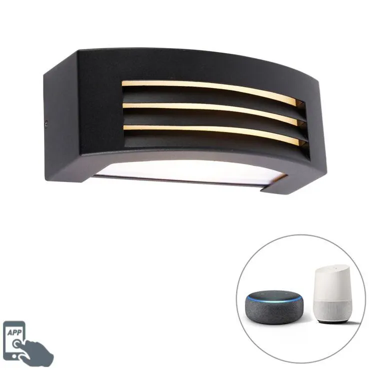 Intelligens kültéri fali lámpa, fekete IP44, WiFi A60 - Hurricane 1