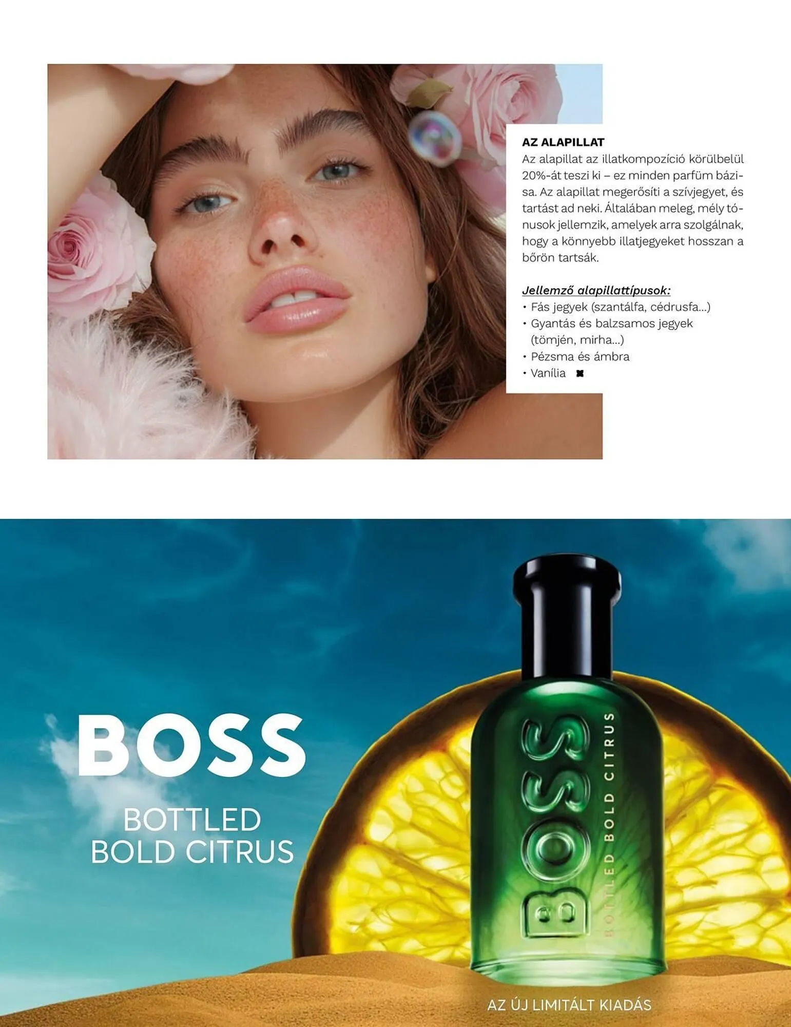 Katalógus Müller akciós újság június 23.-tól június 23.-ig 2026. - Oldal 25