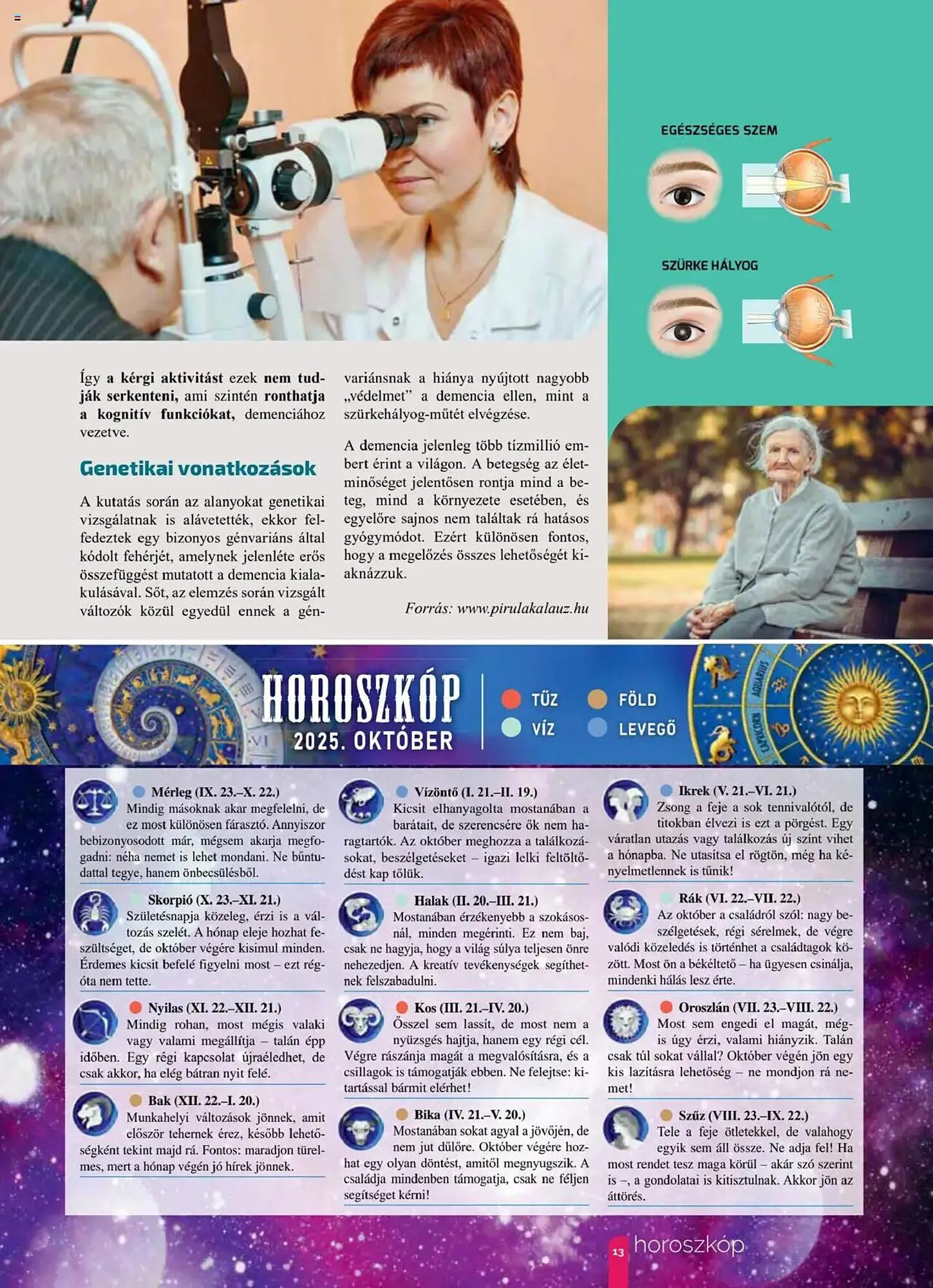 Katalógus Pingvin Patika akciós újság október 1.-tól október 31.-ig 2025. - Oldal 13