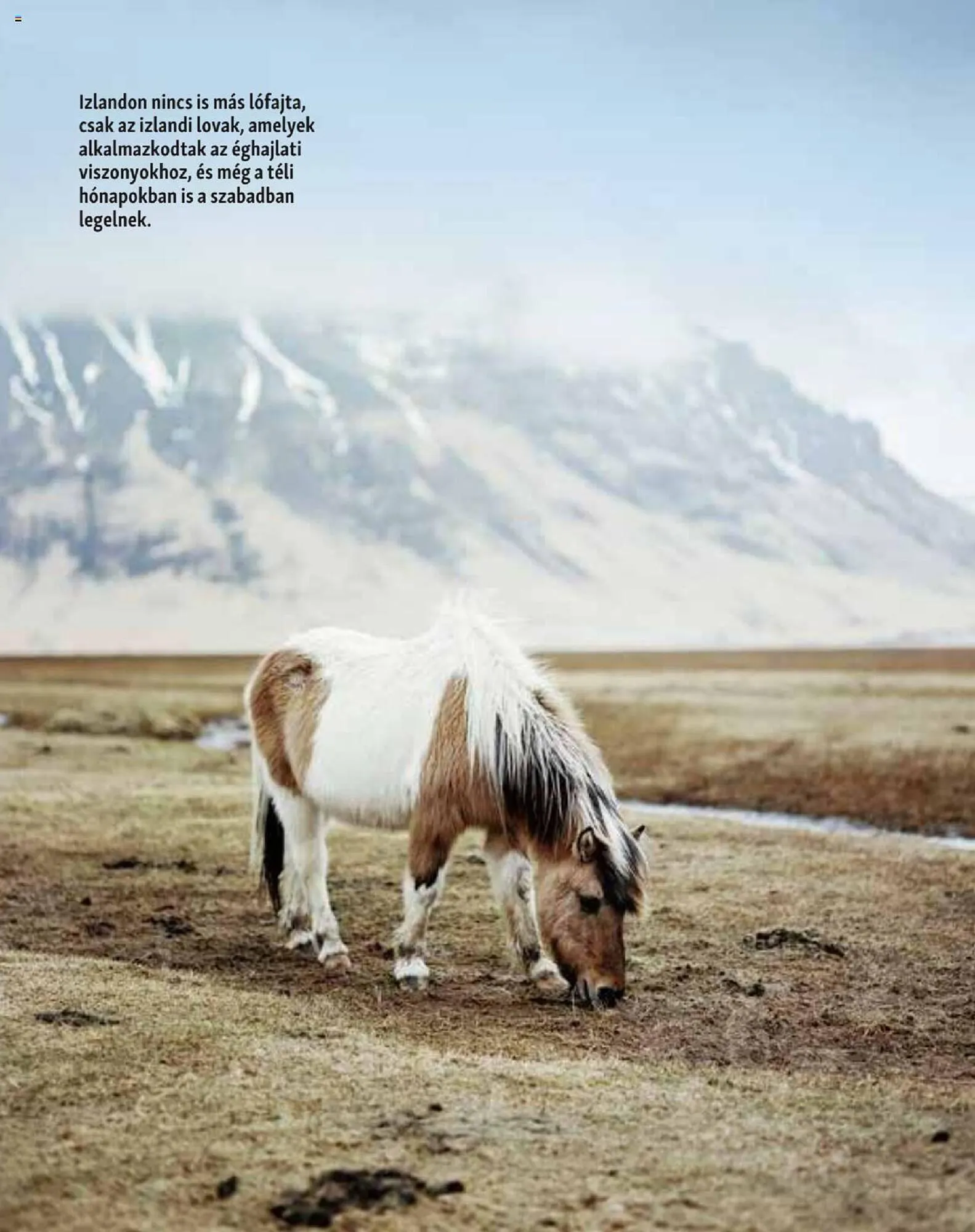 Katalógus Fressnapf akciós újság szeptember 25.-tól november 30.-ig 2023. - Oldal 12