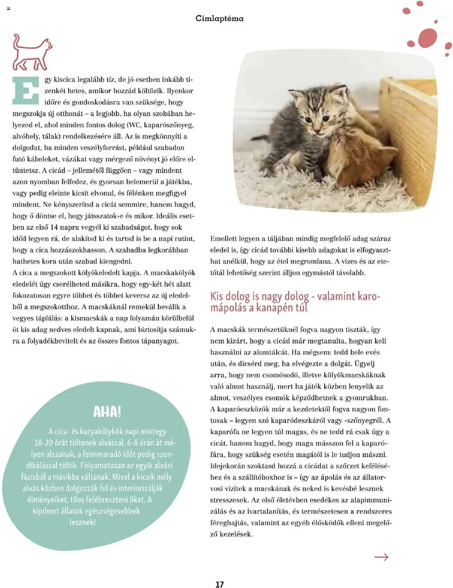 Katalógus Fressnapf akciós újság május 5.-tól május 13.-ig 2025. - Oldal 17