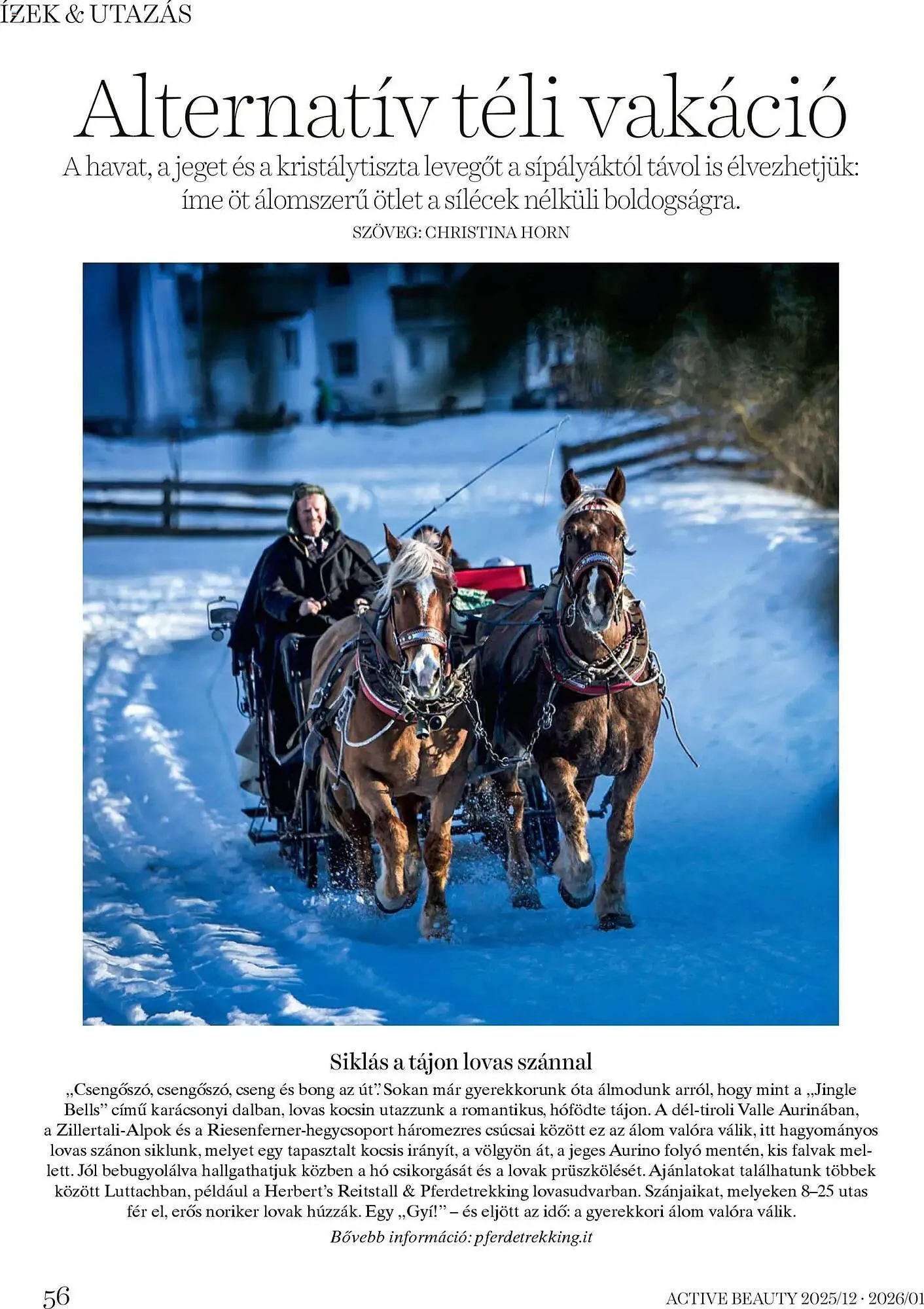 Katalógus DM akciós újság december 18.-tól január 31.-ig 2026. - Oldal 56