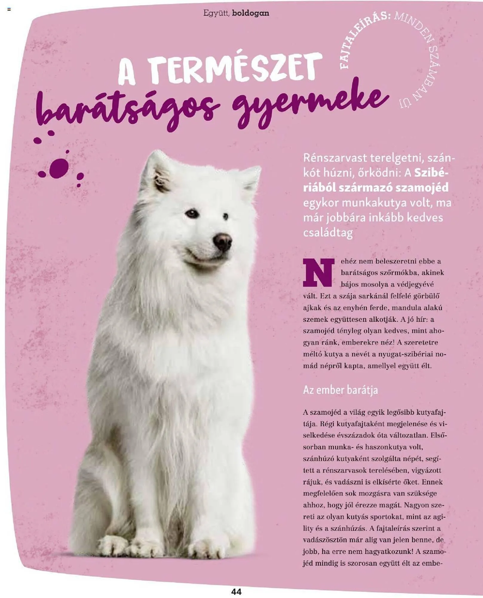 Katalógus Fressnapf akciós újság szeptember 25.-tól november 30.-ig 2023. - Oldal 44