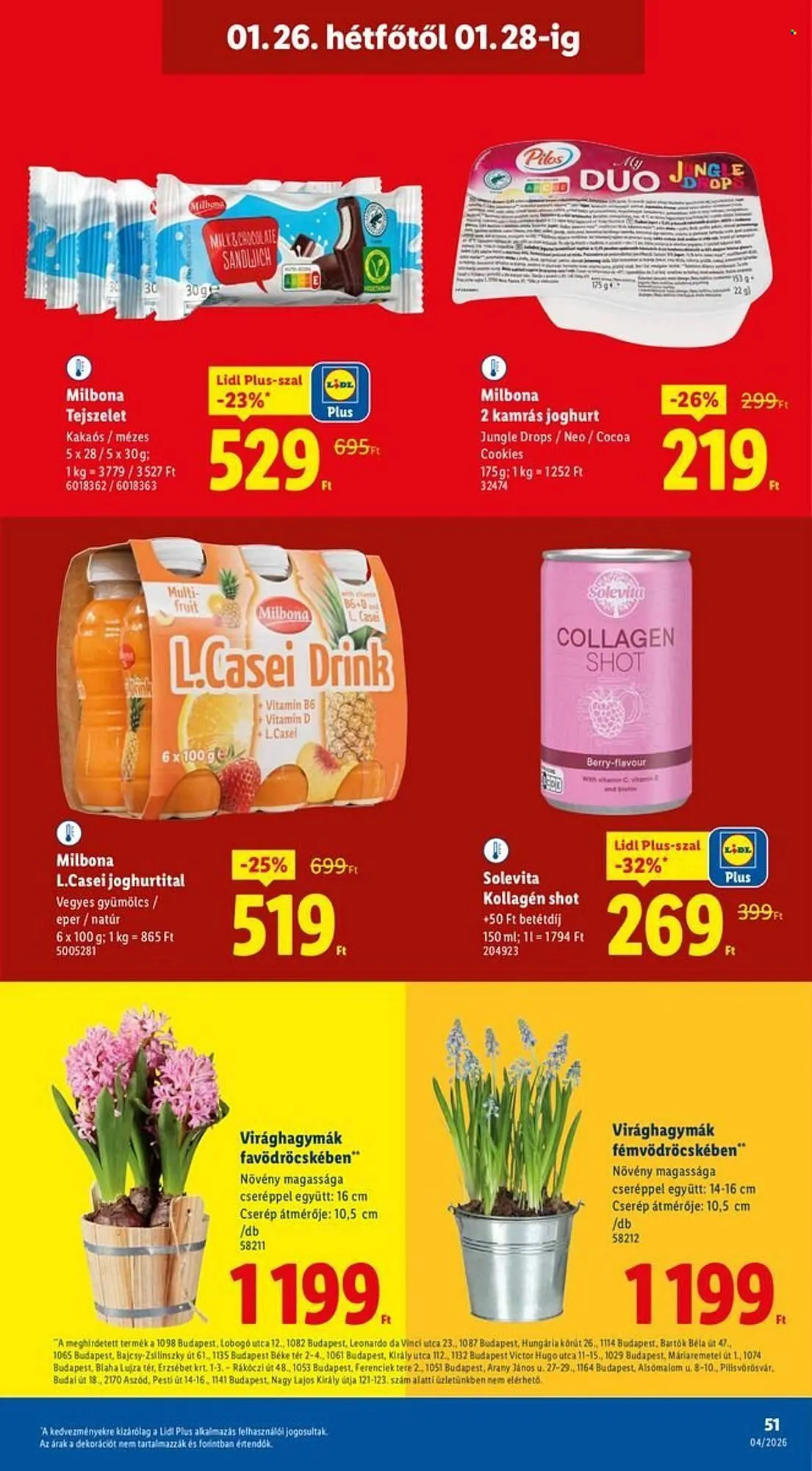 Katalógus Lidl akciós újság január 22.-tól január 28.-ig 2026. - Oldal 51