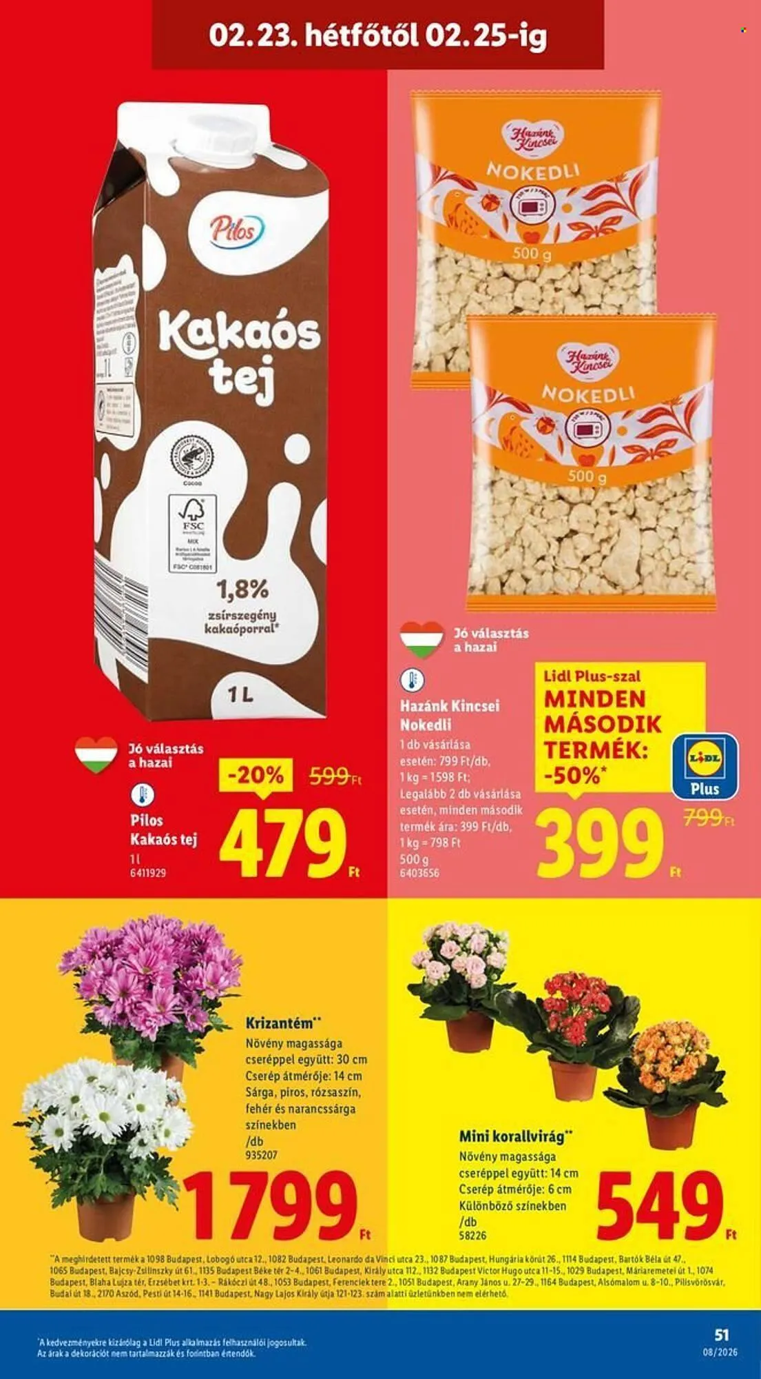Katalógus Lidl akciós újság február 19.-tól február 25.-ig 2026. - Oldal 51