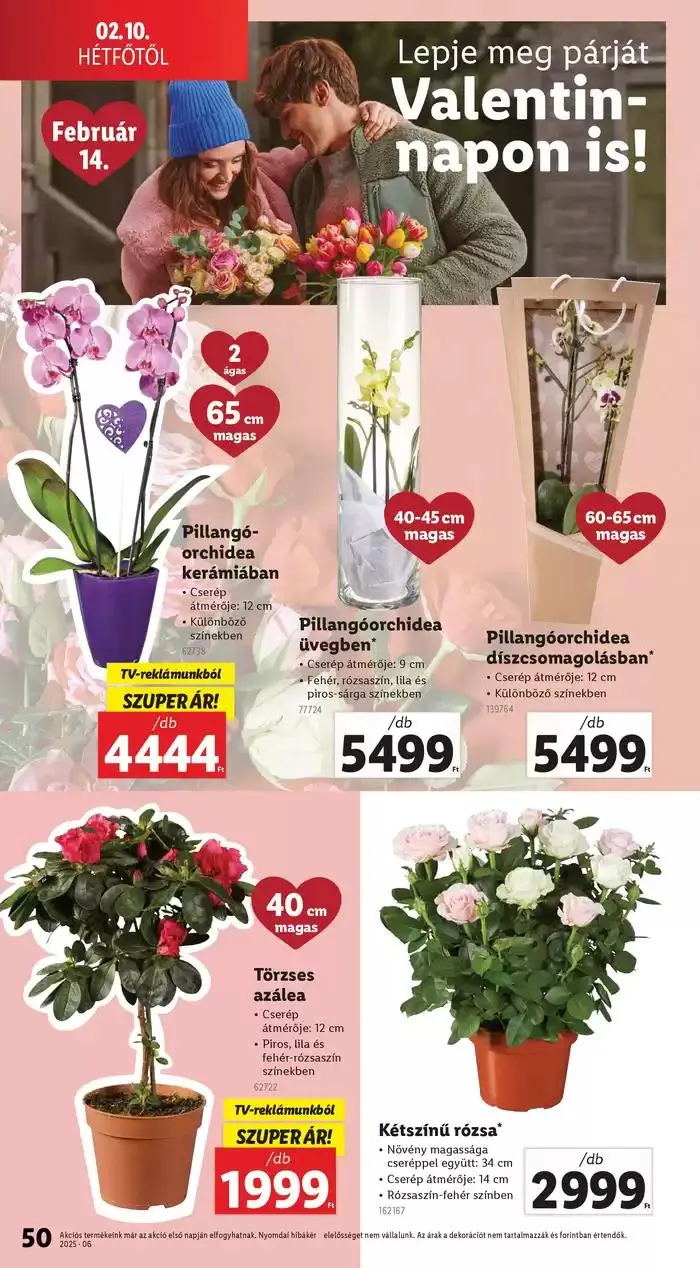 Katalógus Akciós újság – 06. hét február 6.-tól február 12.-ig 2025. - Oldal 40
