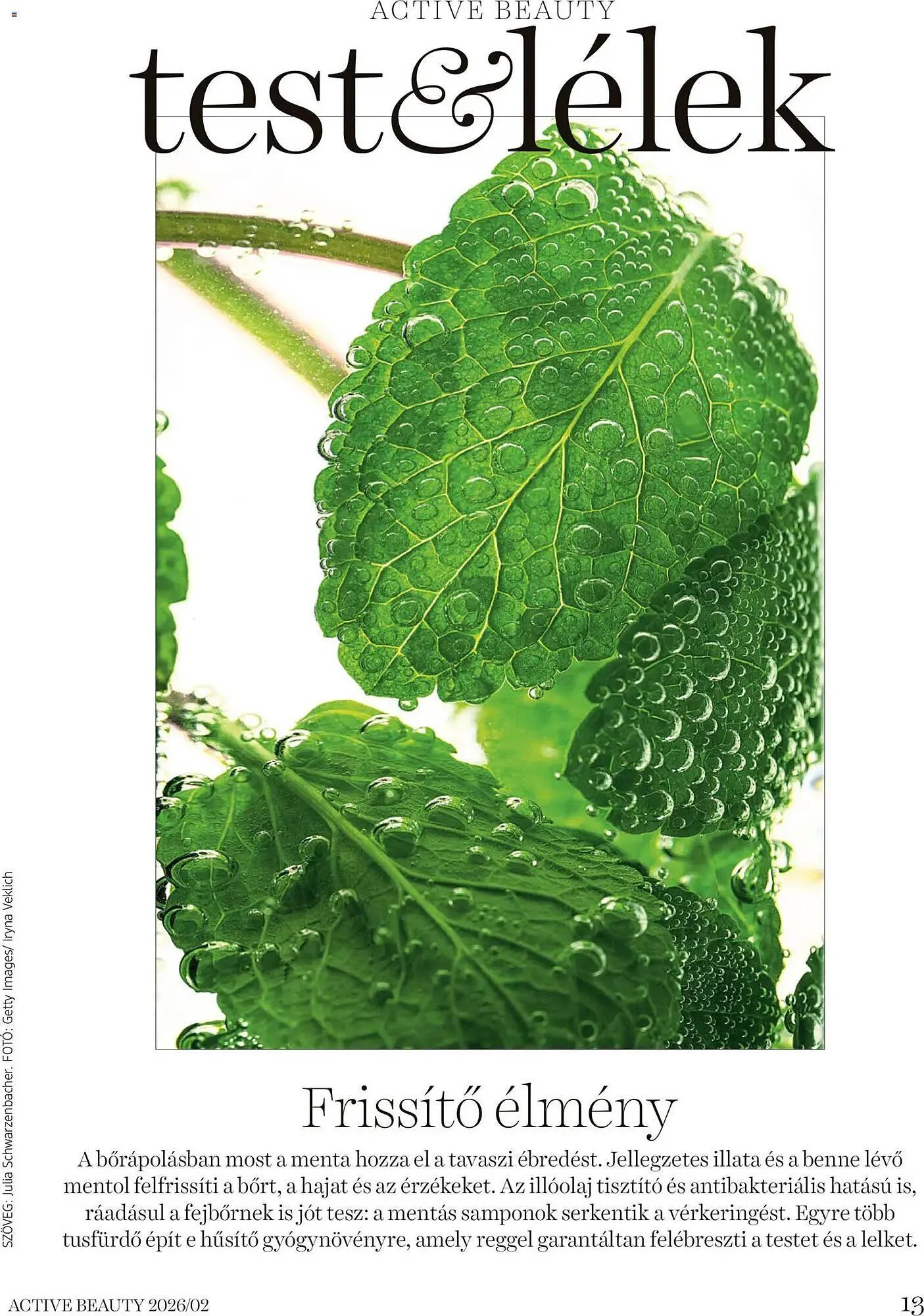 Katalógus DM akciós újság február 6.-tól február 28.-ig 2026. - Oldal 13